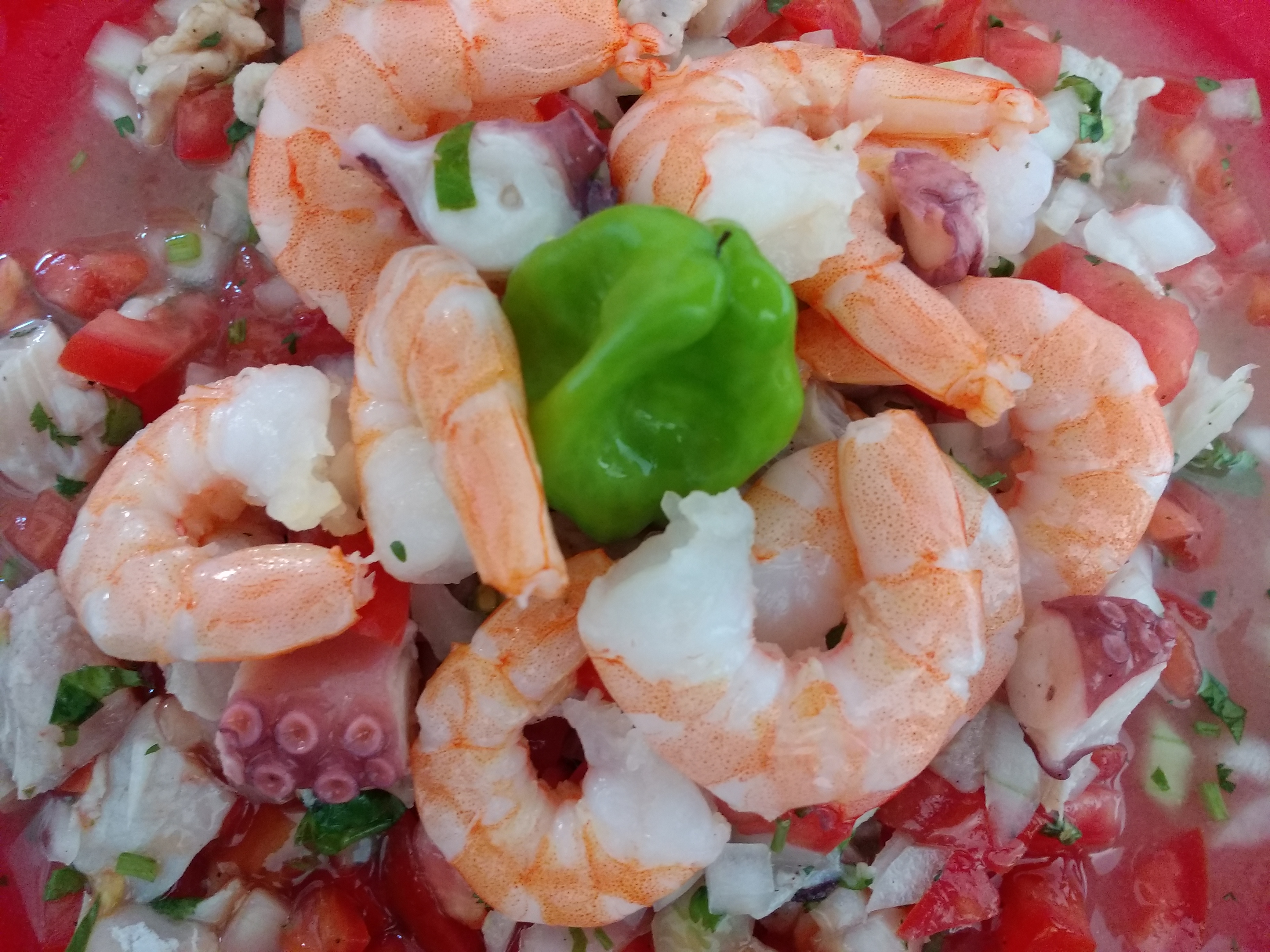 EL PERLA NEGRA image 10