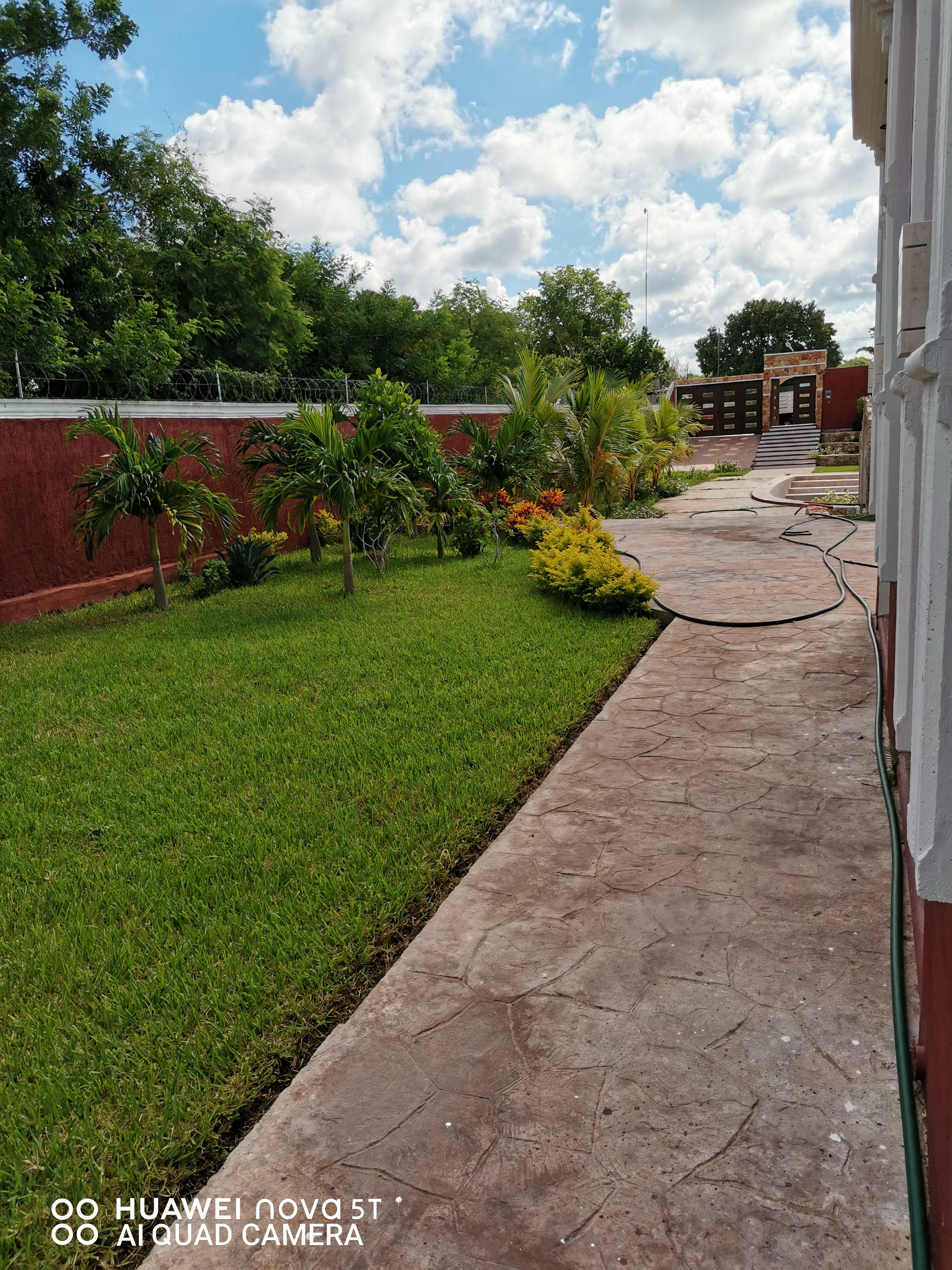 Local Perla Escondida image 8