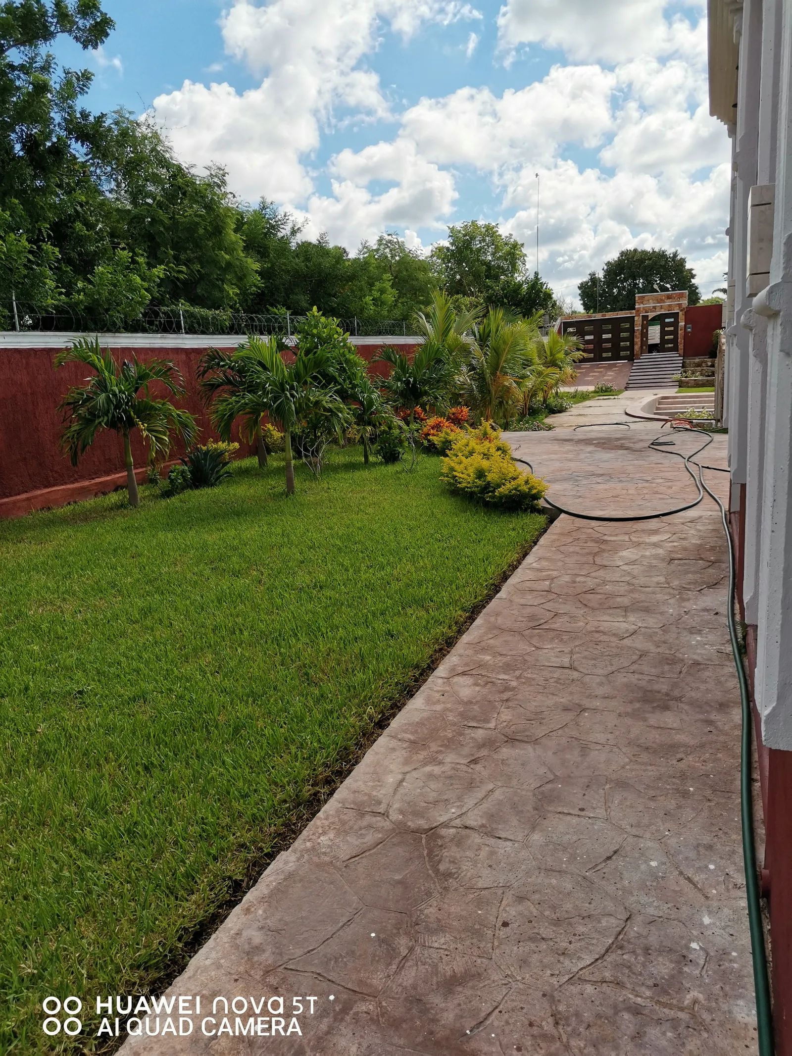 Local Perla Escondida image 8
