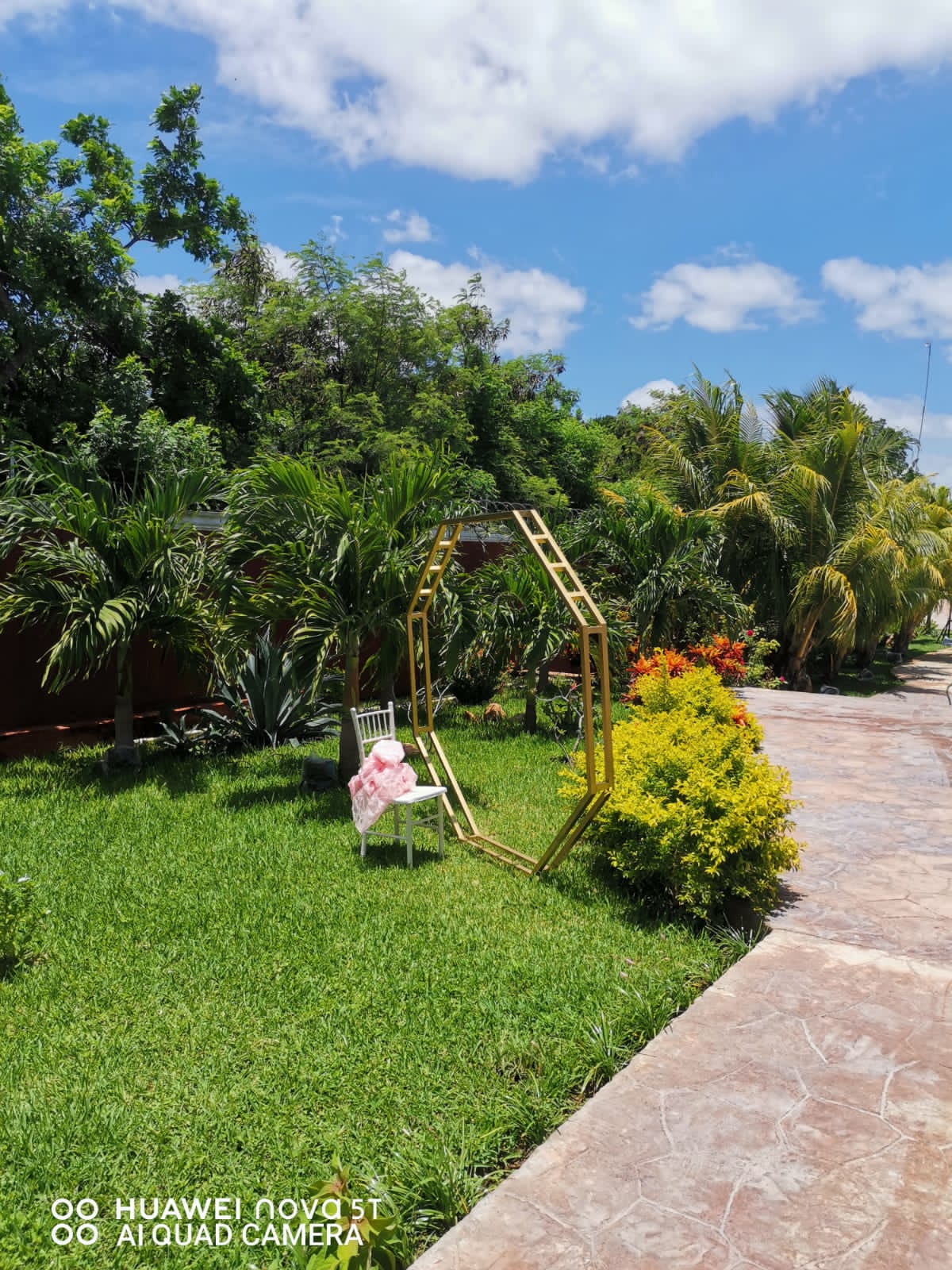 Local Perla Escondida image 10