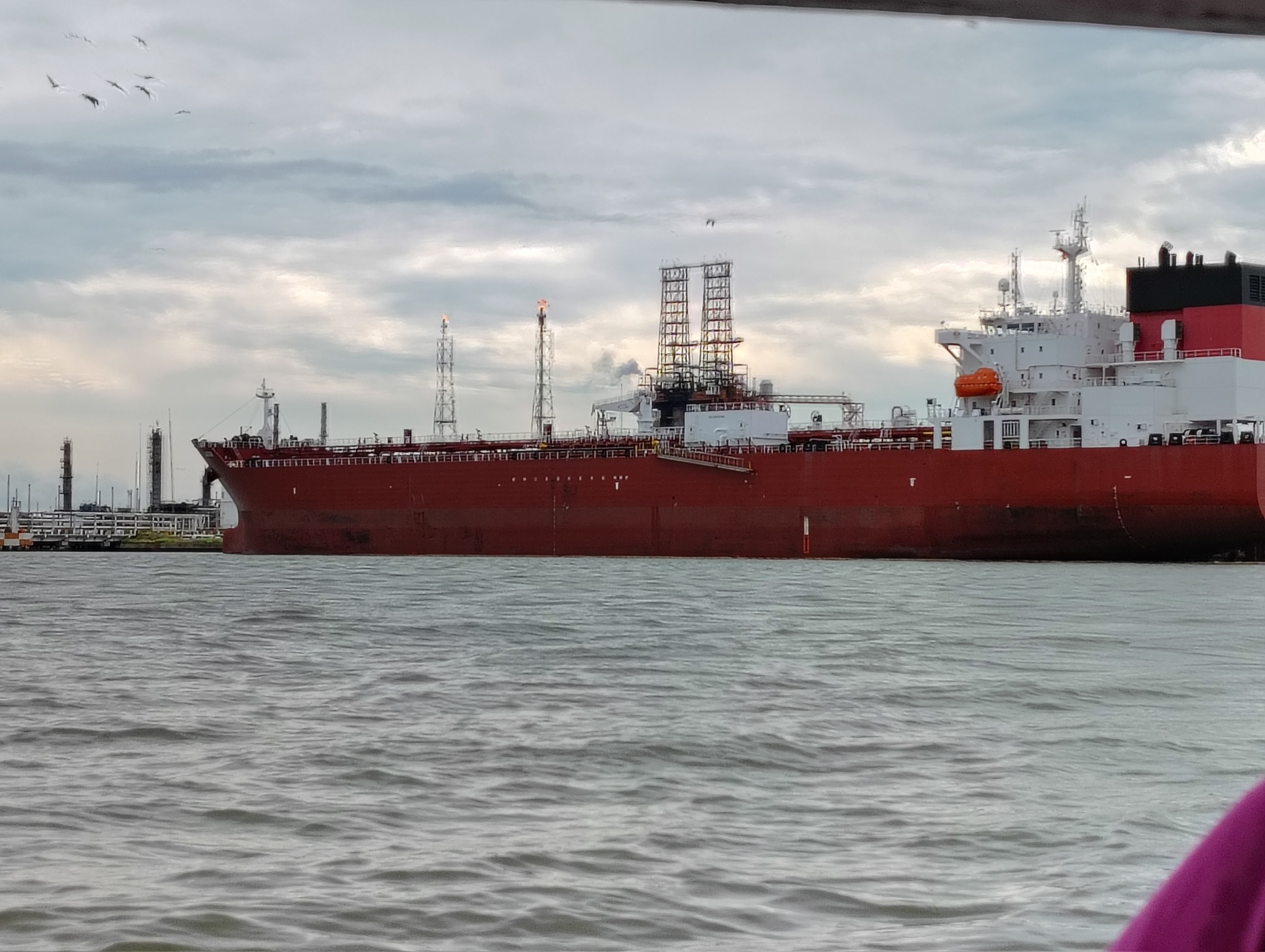 Restaurante De Mariscos La Palma image 4