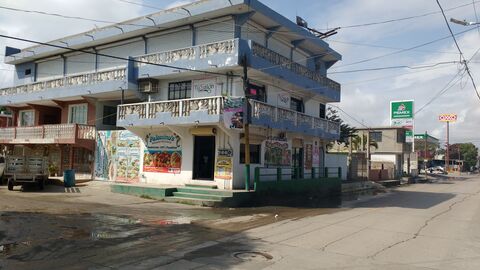Restaurant Palomino's image 7