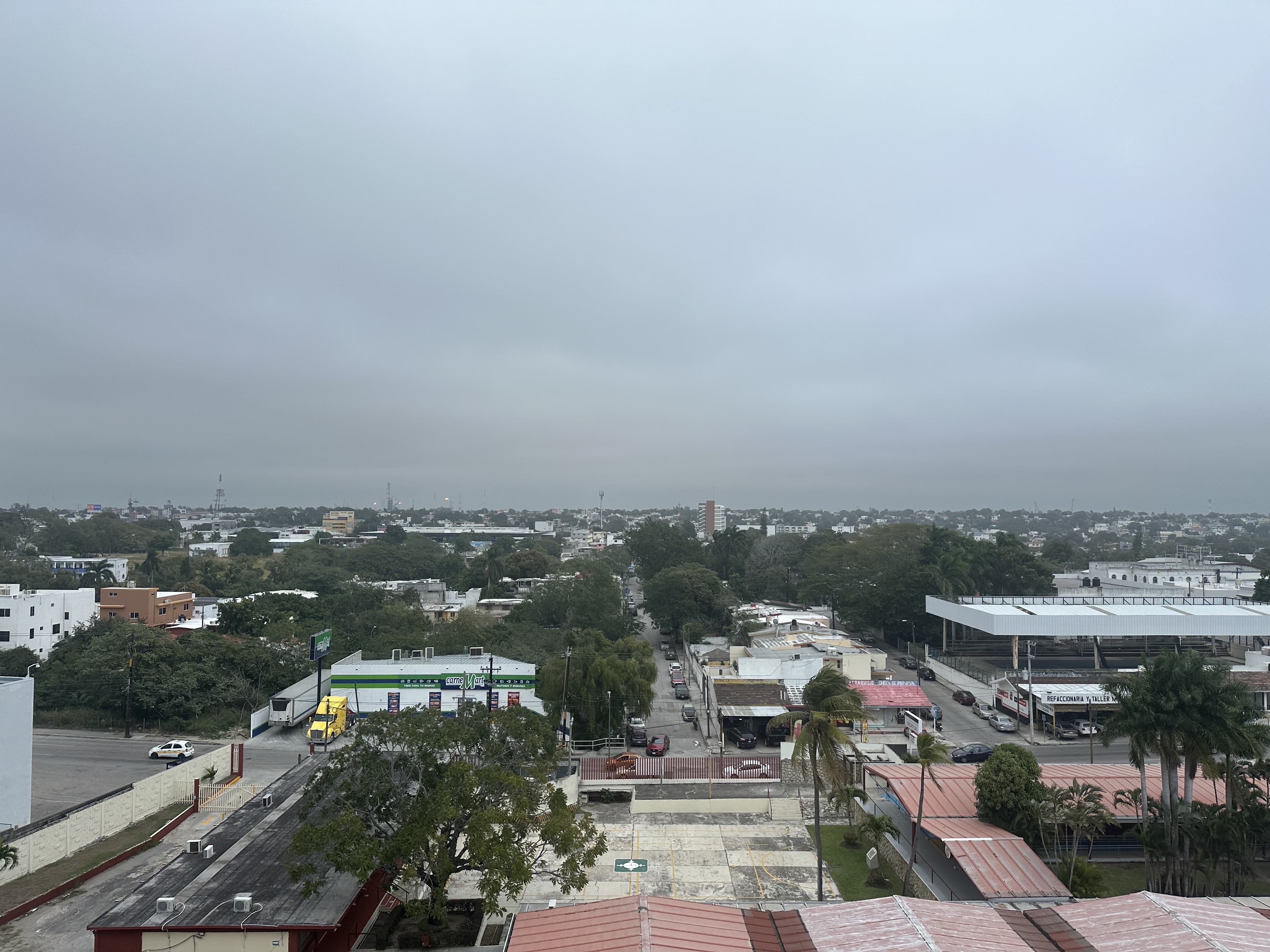 Basilico Altama image 4