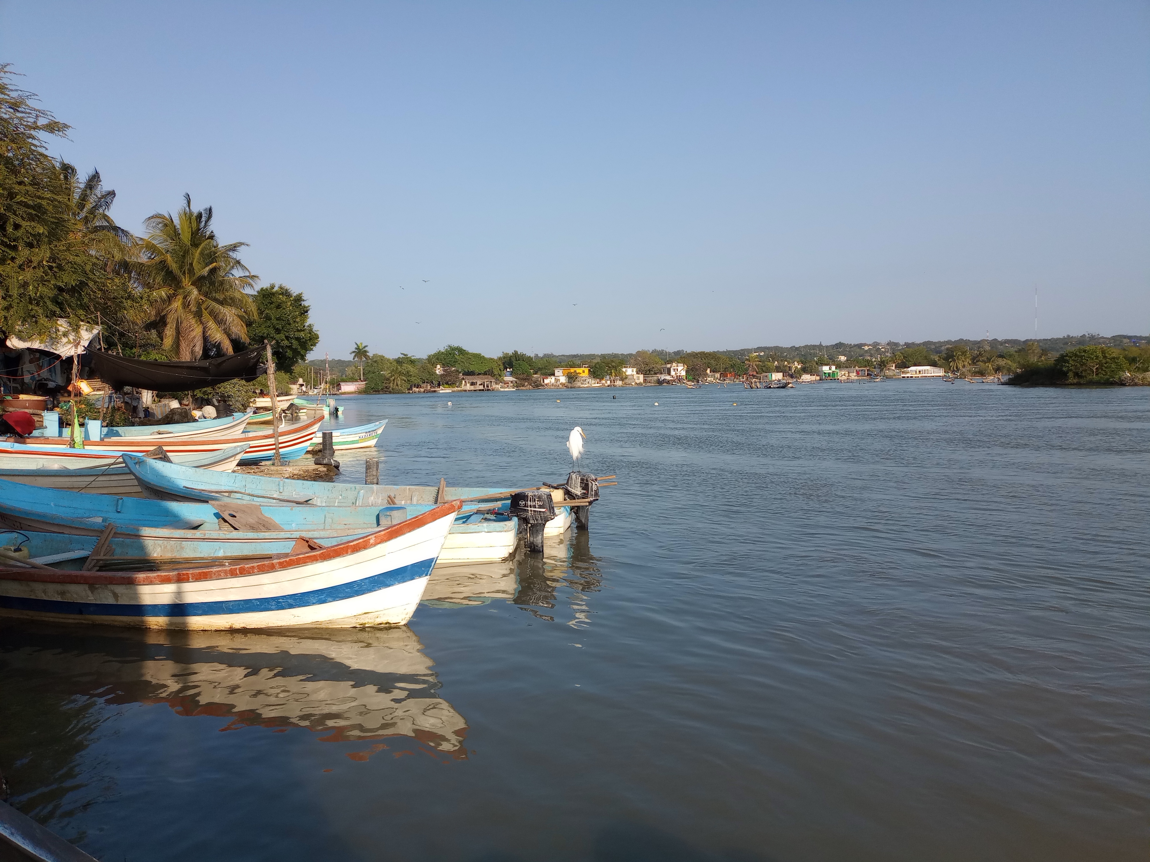 Restaurante De Mariscos Acapulco image 4