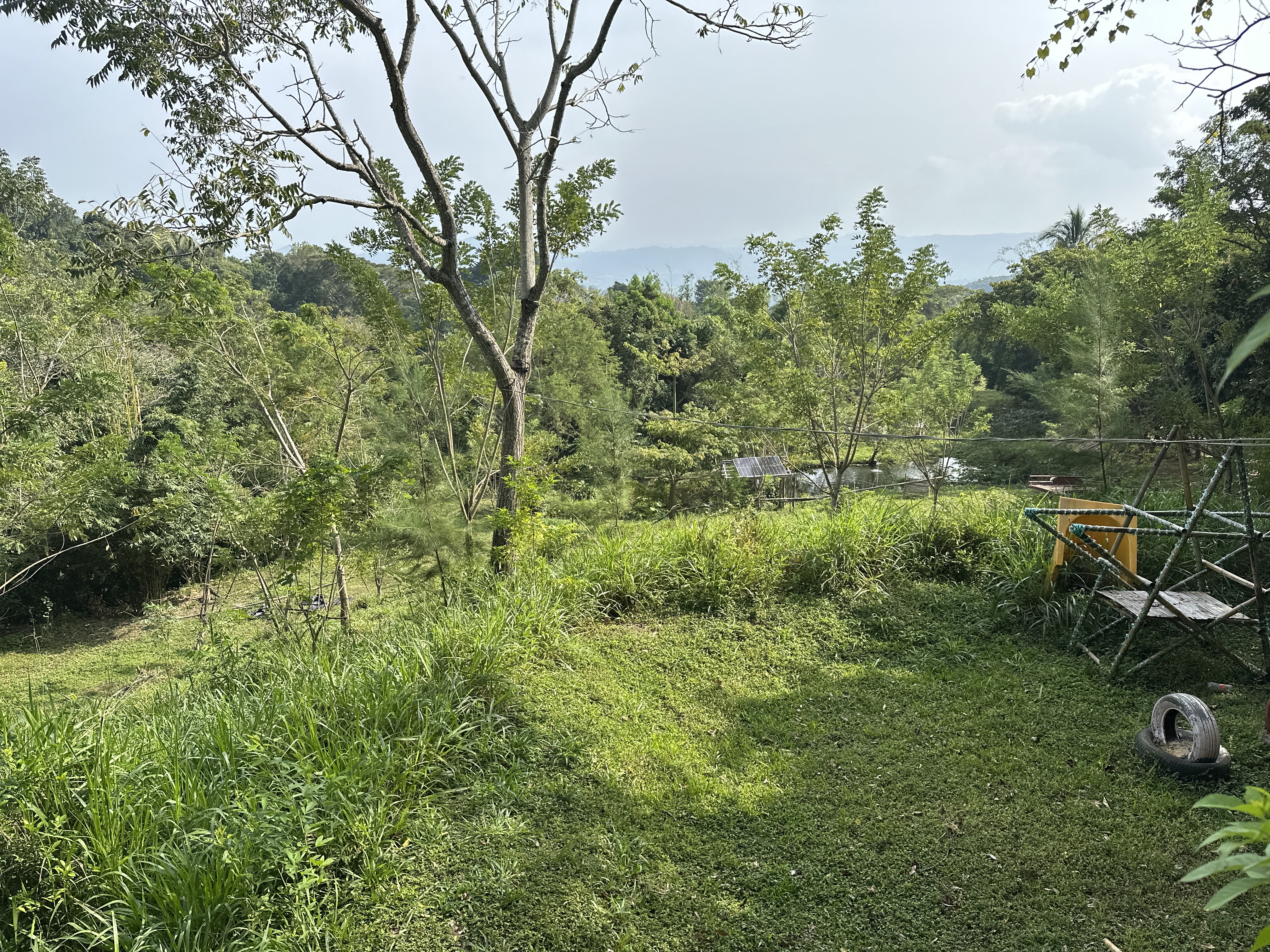 Rancho Sustentable Doña Elia image 4