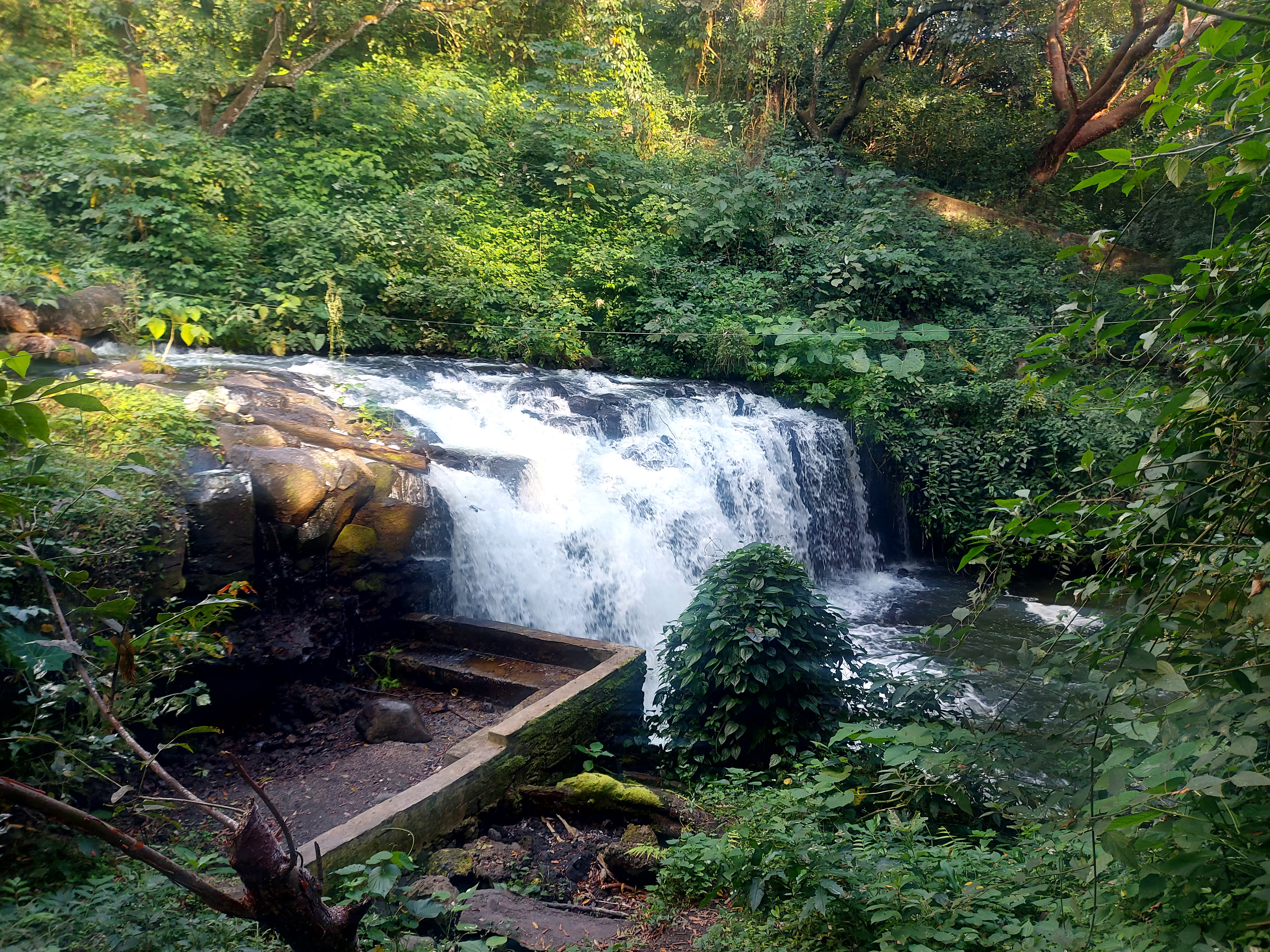 Rancho Sustentable Doña Elia image 5