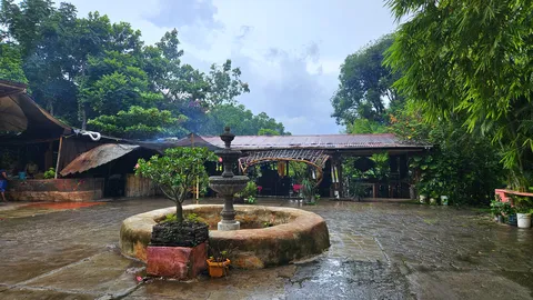 Rancho Sustentable Doña Elia image 6