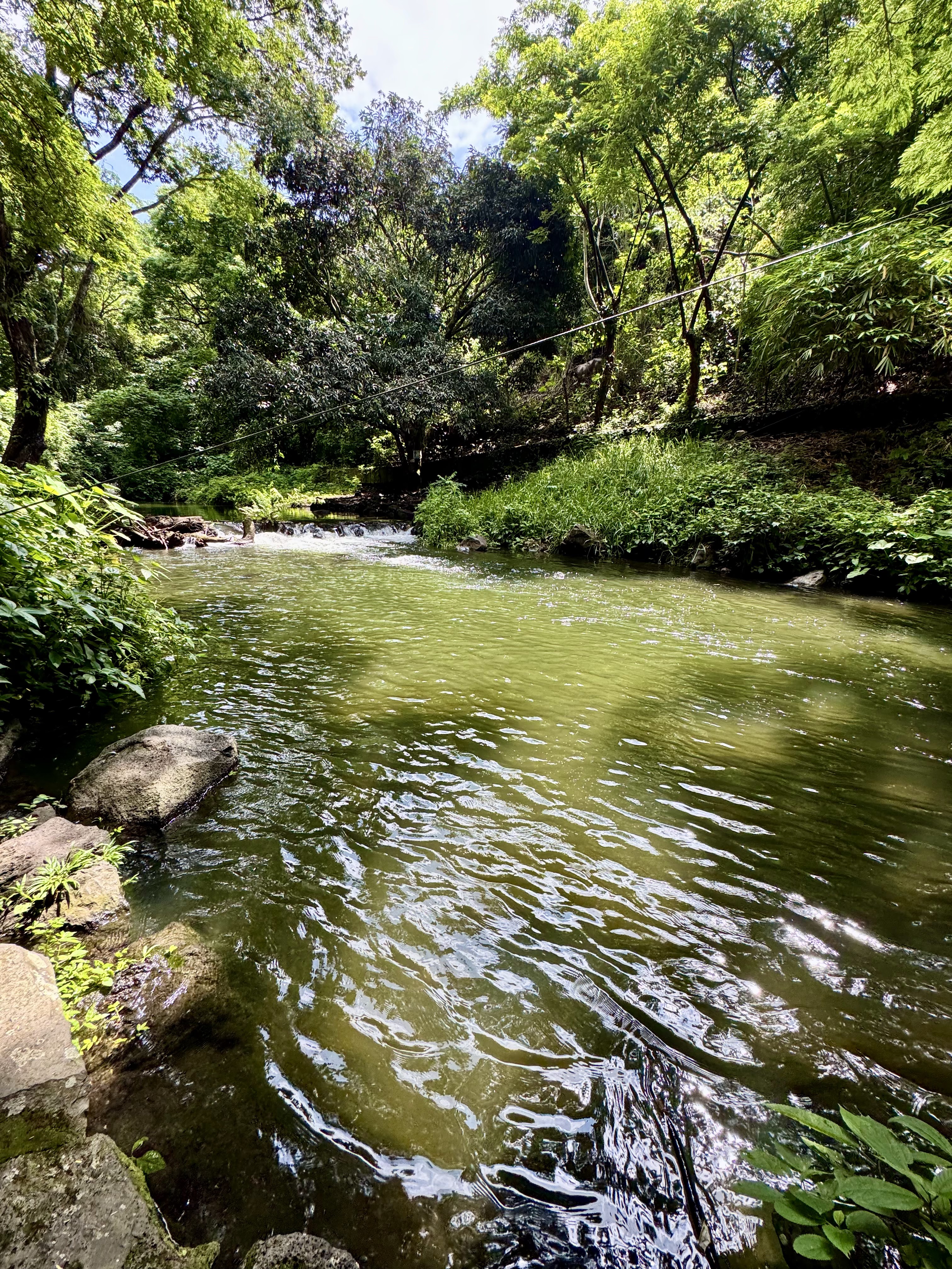 Rancho Sustentable Doña Elia image 8