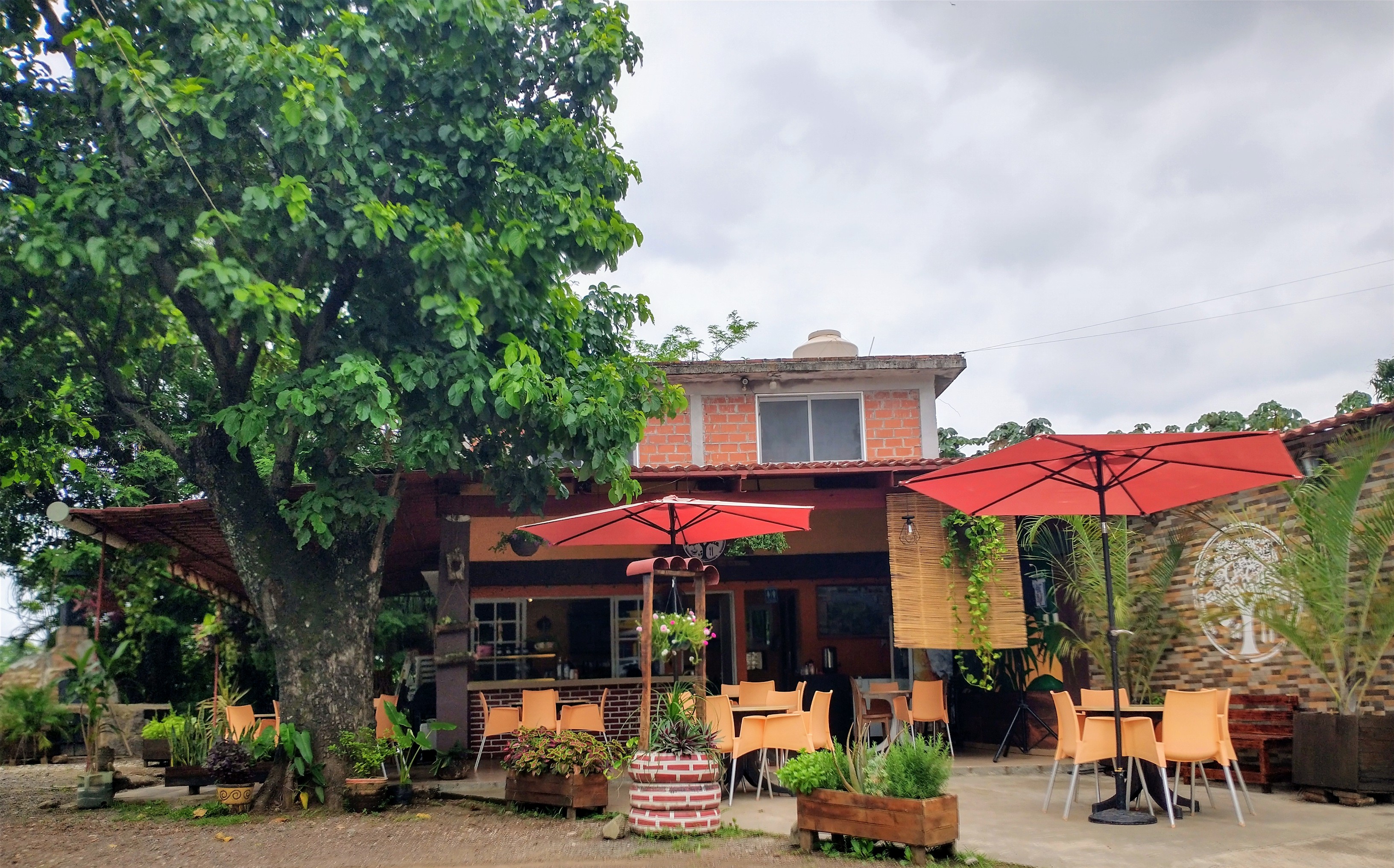 EL AGUACATE RESTAURANTE Y CAFETERIA image 4