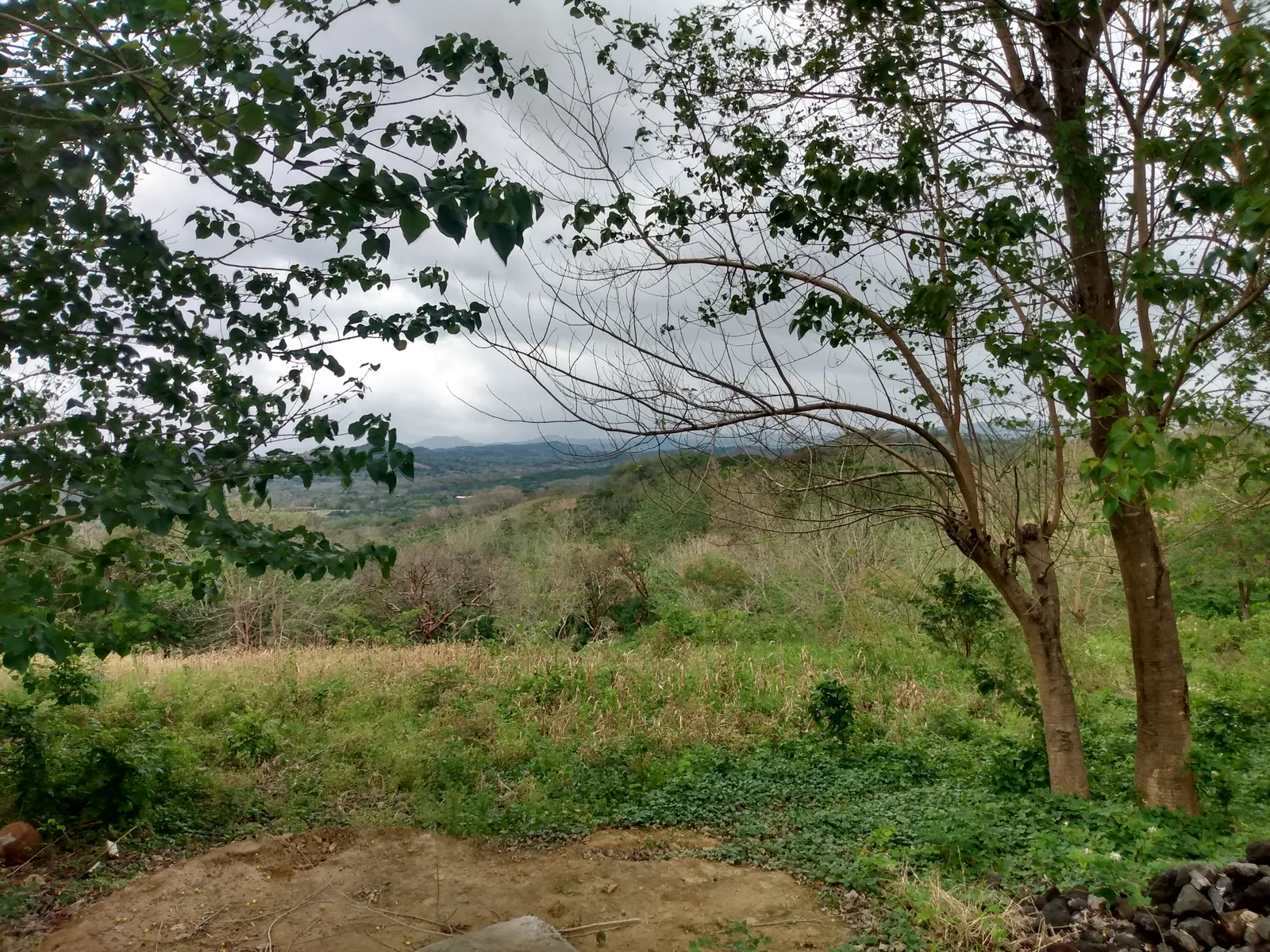kokoxkali image 4
