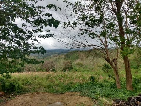 kokoxkali image 4