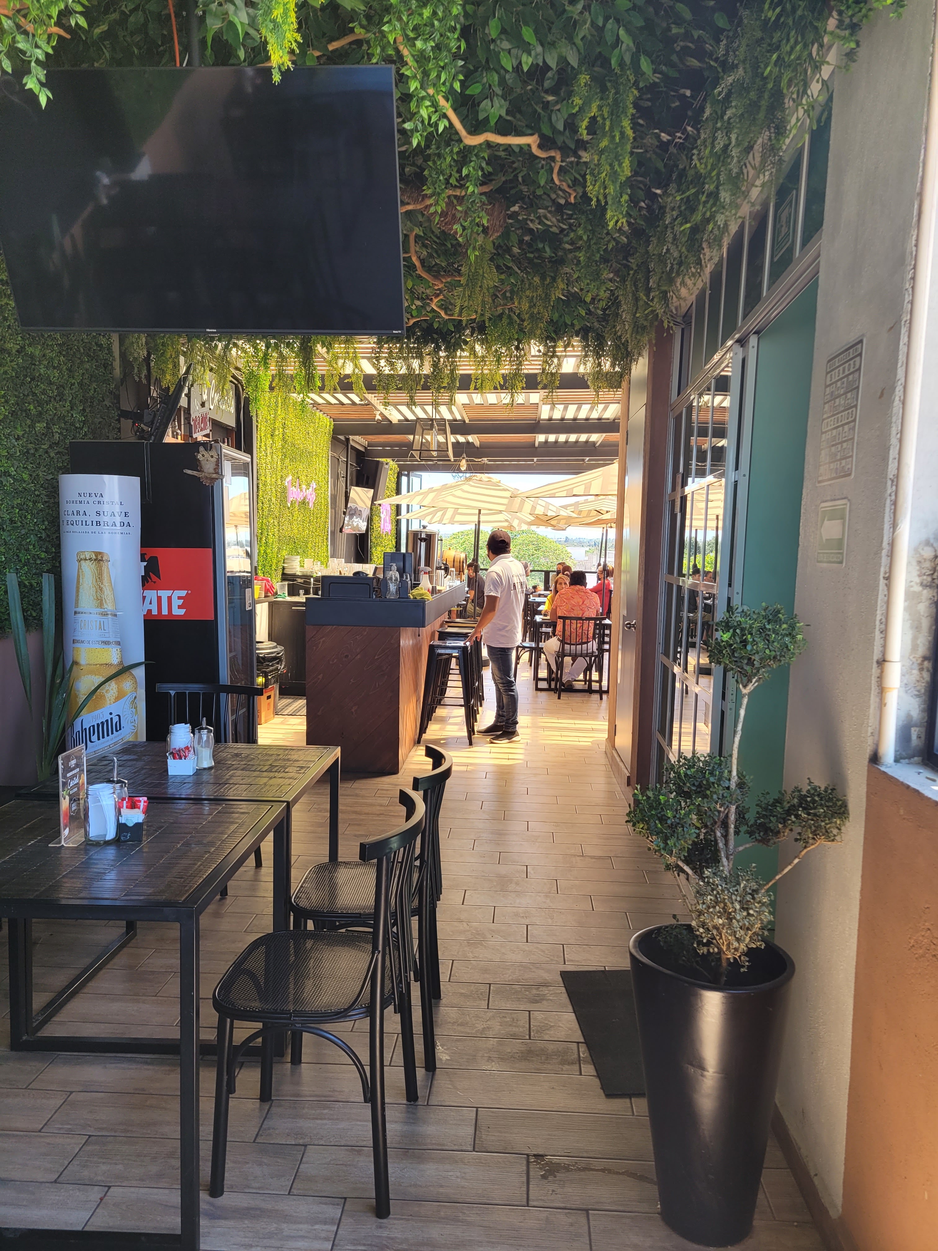 La Terraza de Lerdo image 1