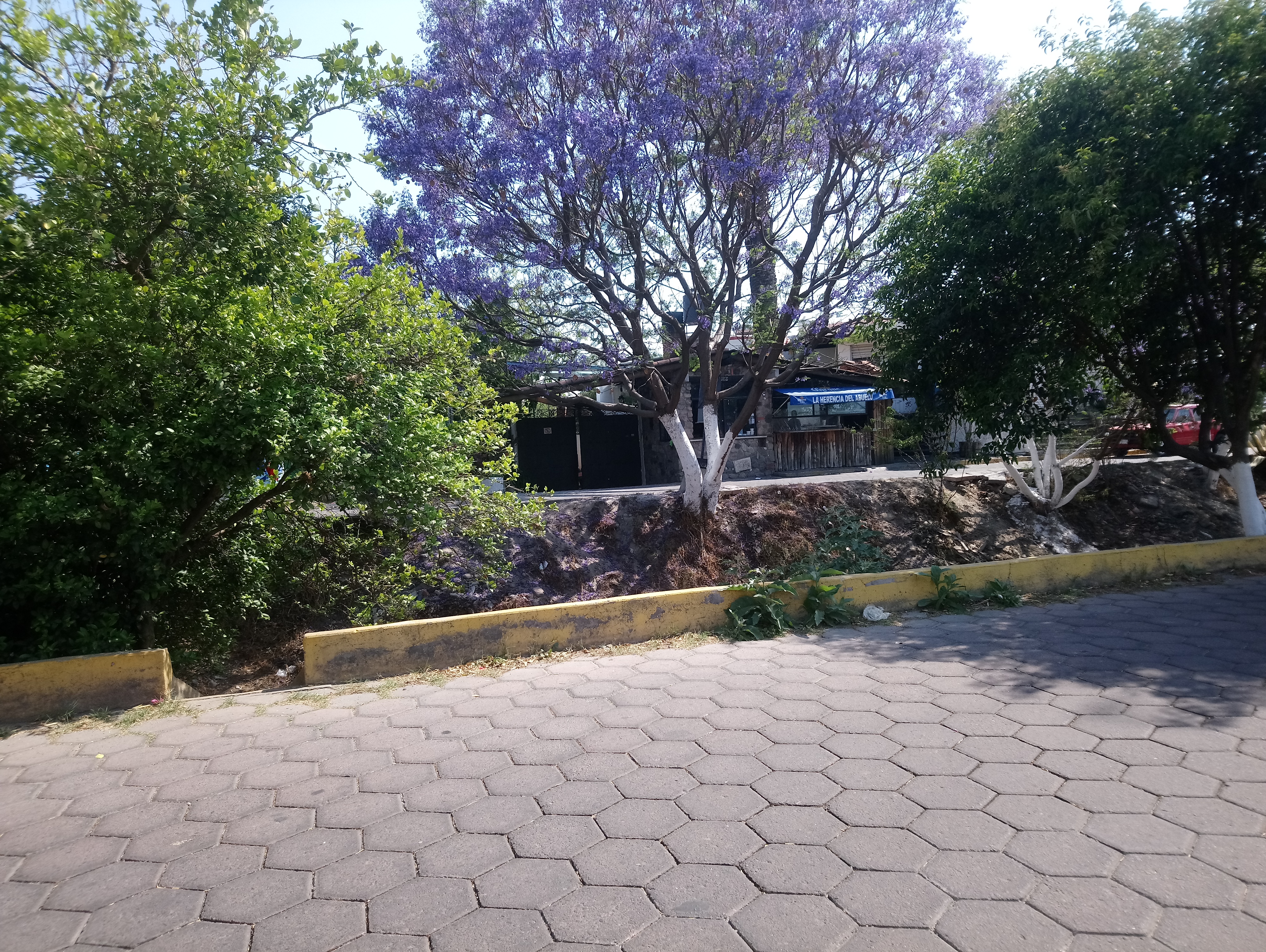 La Herencia Del Abuelo image 2