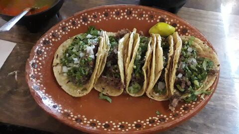 taquería restaurante Guadalajara express image 6