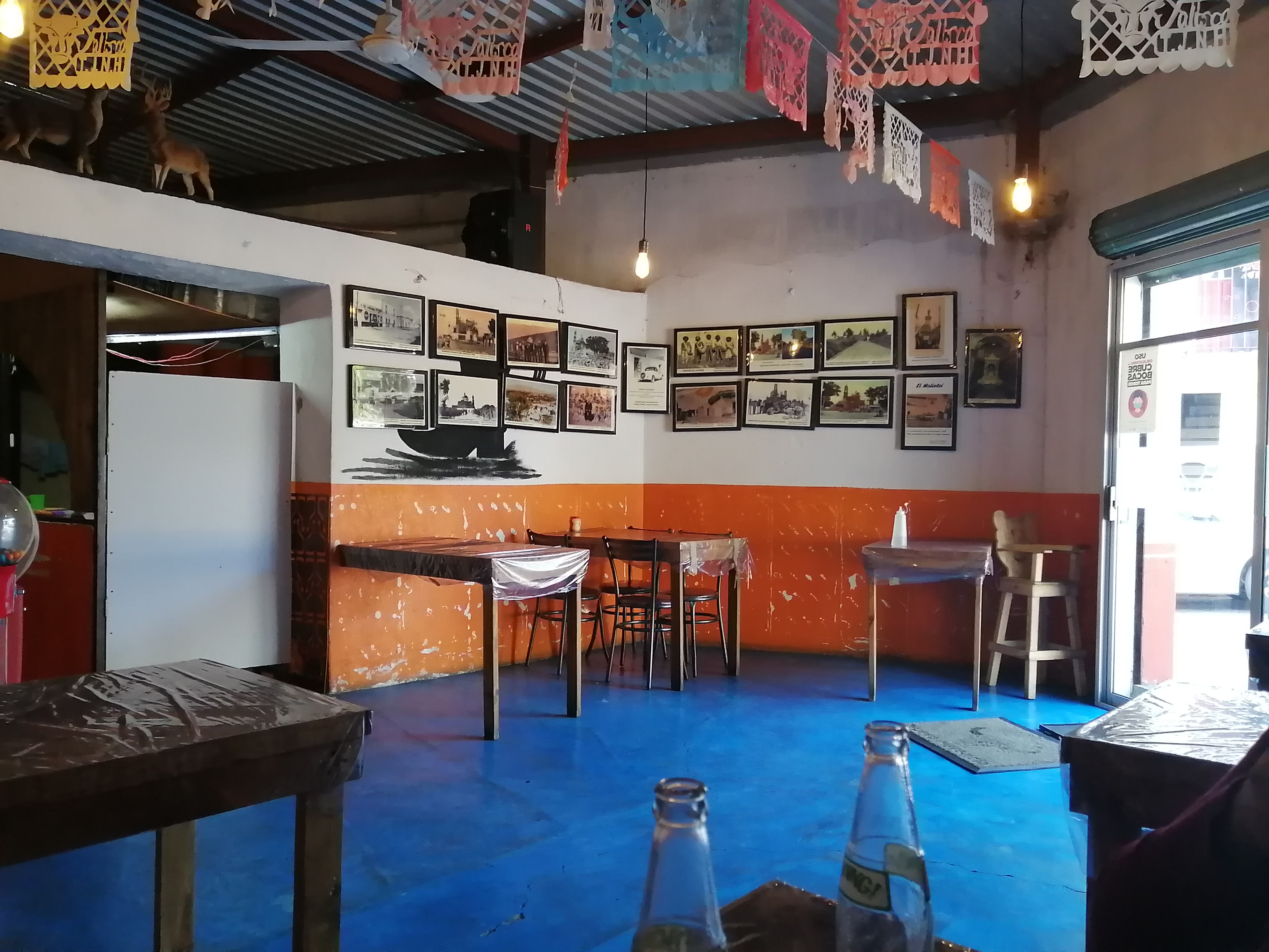 taquería restaurante Guadalajara express image 8