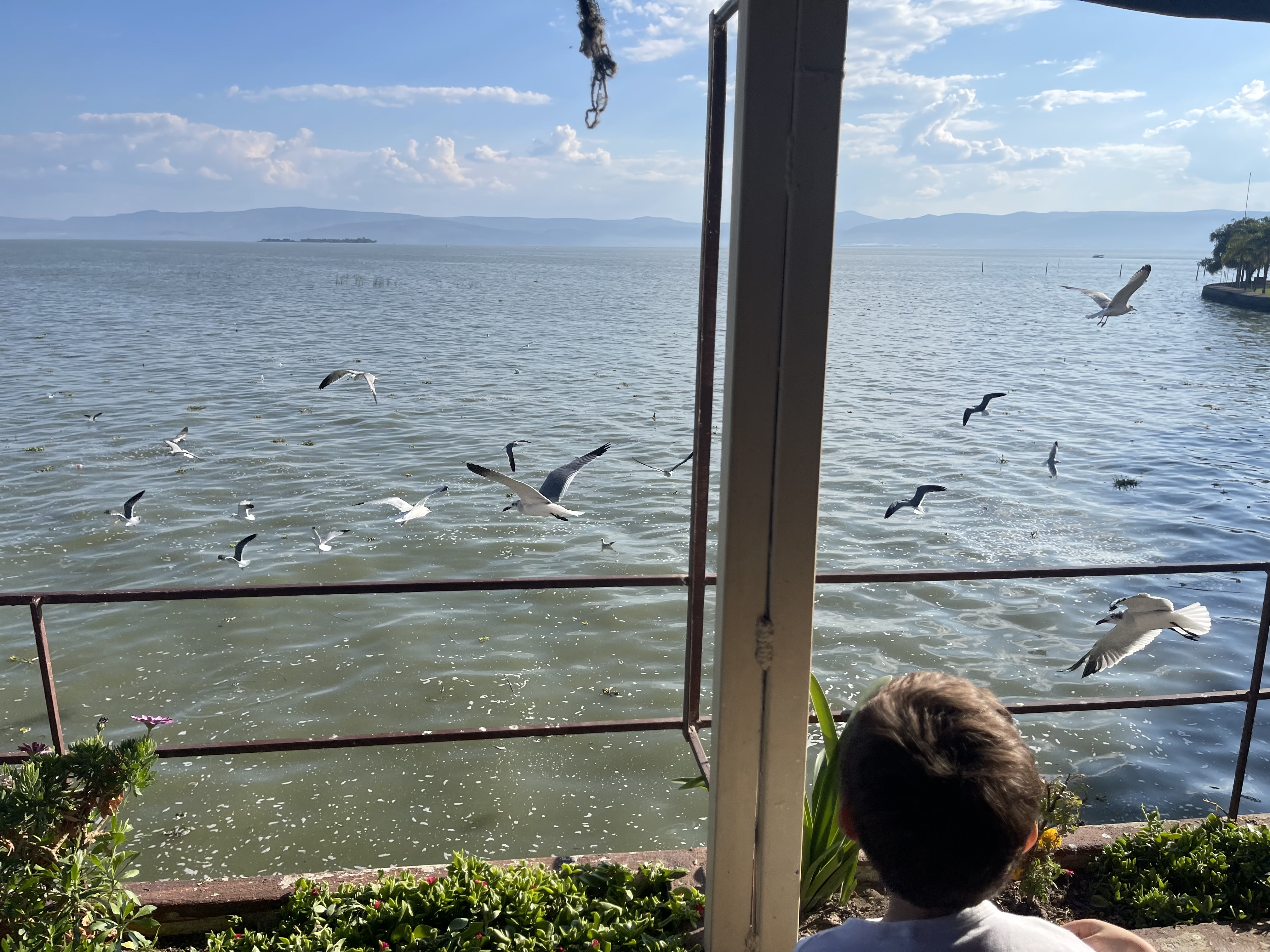 Restaurante Petrita image 7