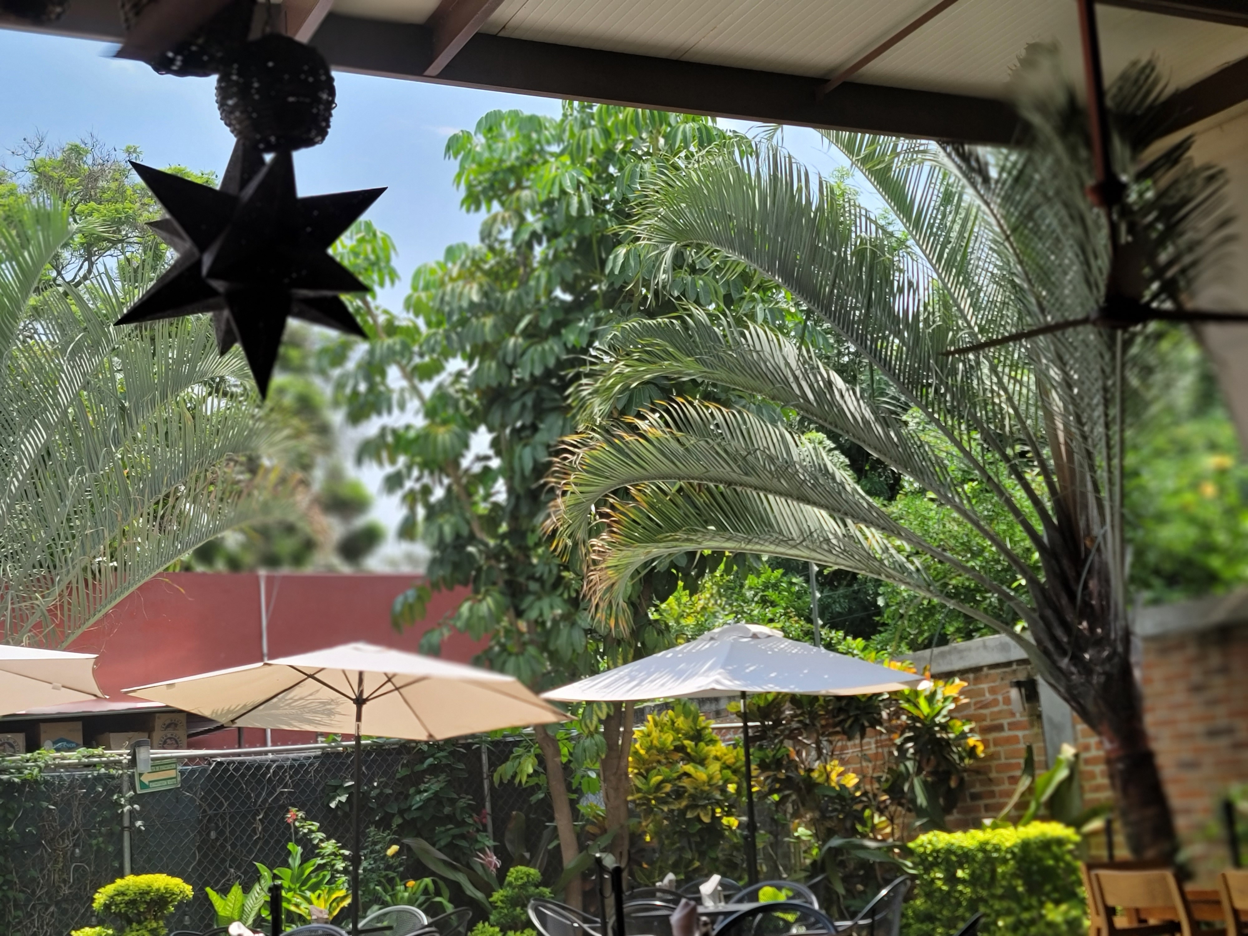 Adelita Bar & Grill image 9