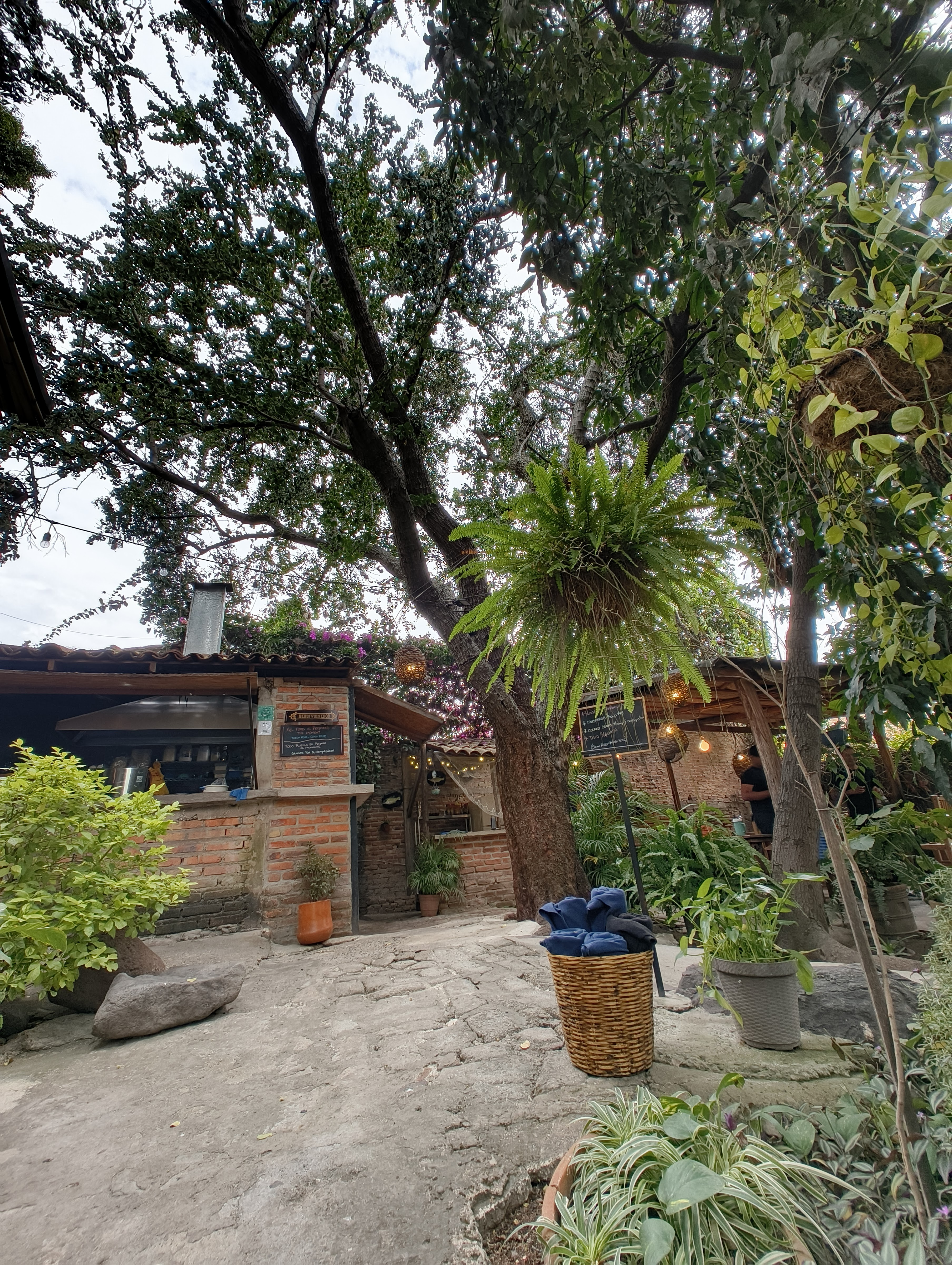 Lobo de Mar . Mariscos image 4