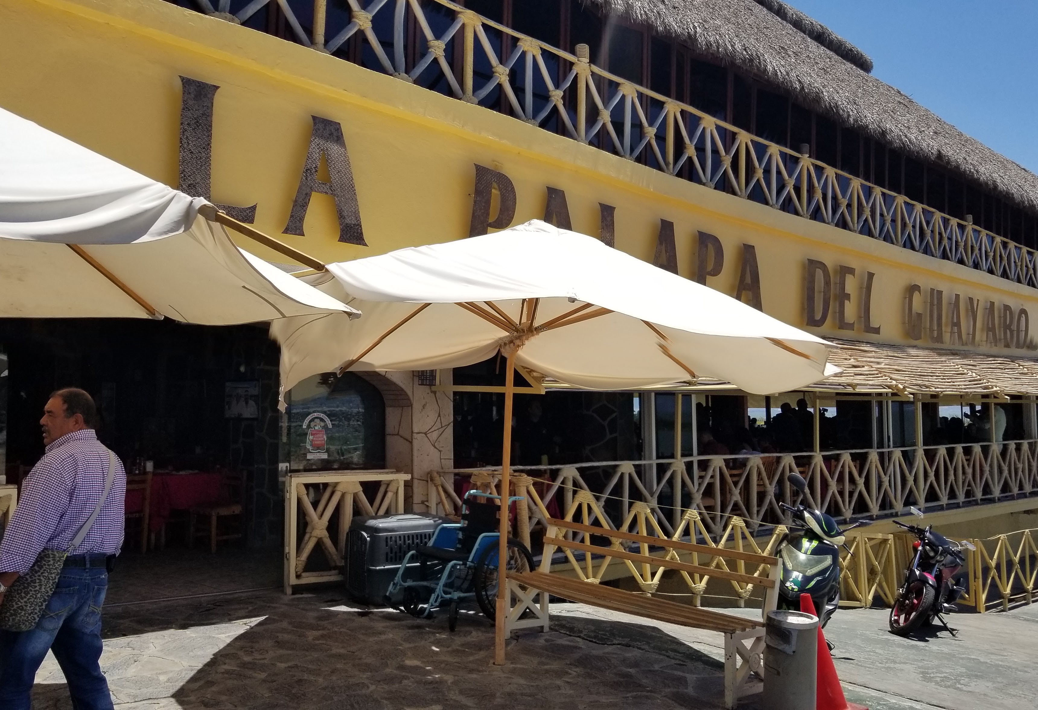 La palapa del guayabo image 1