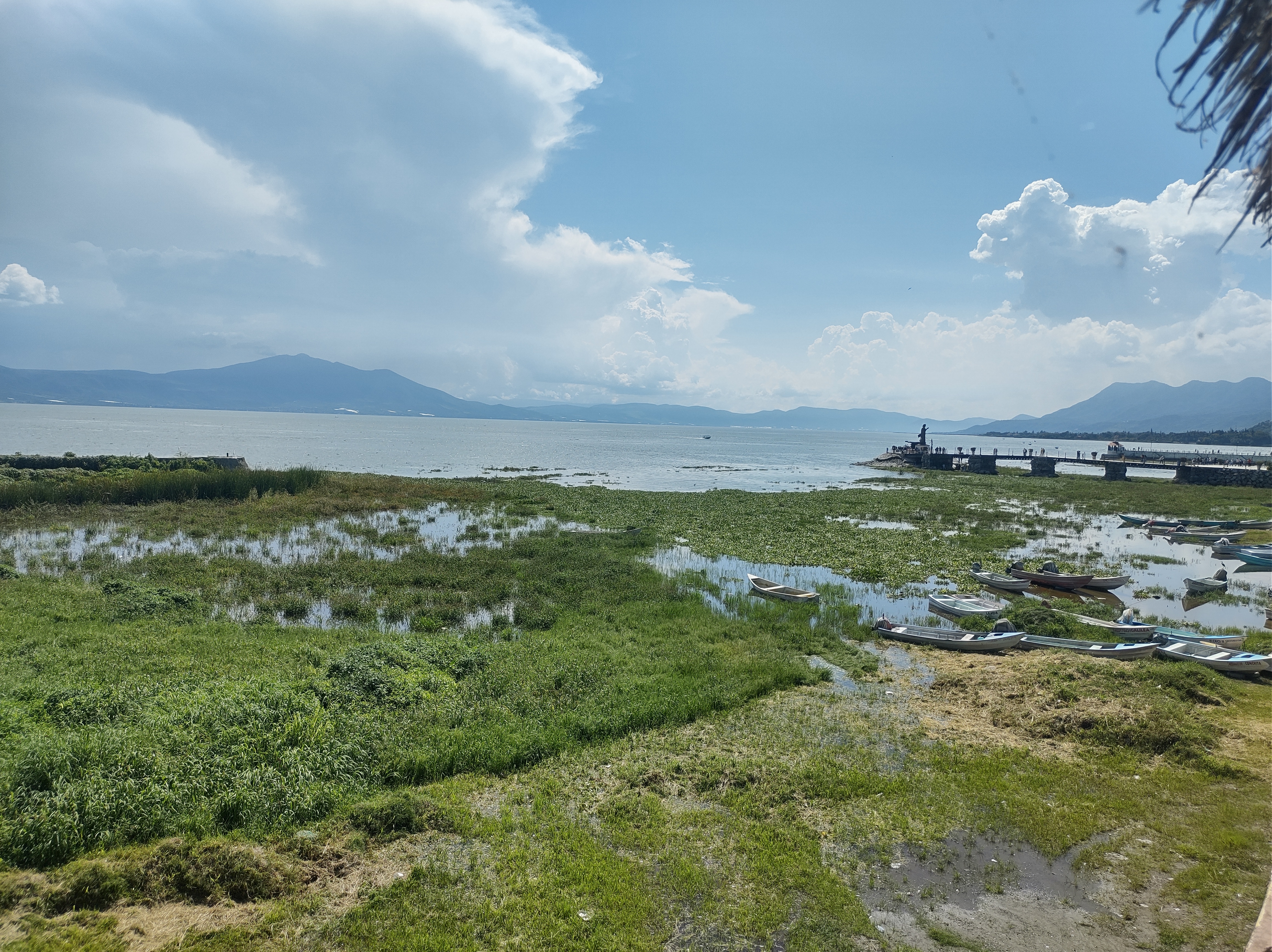 La palapa del guayabo image 8