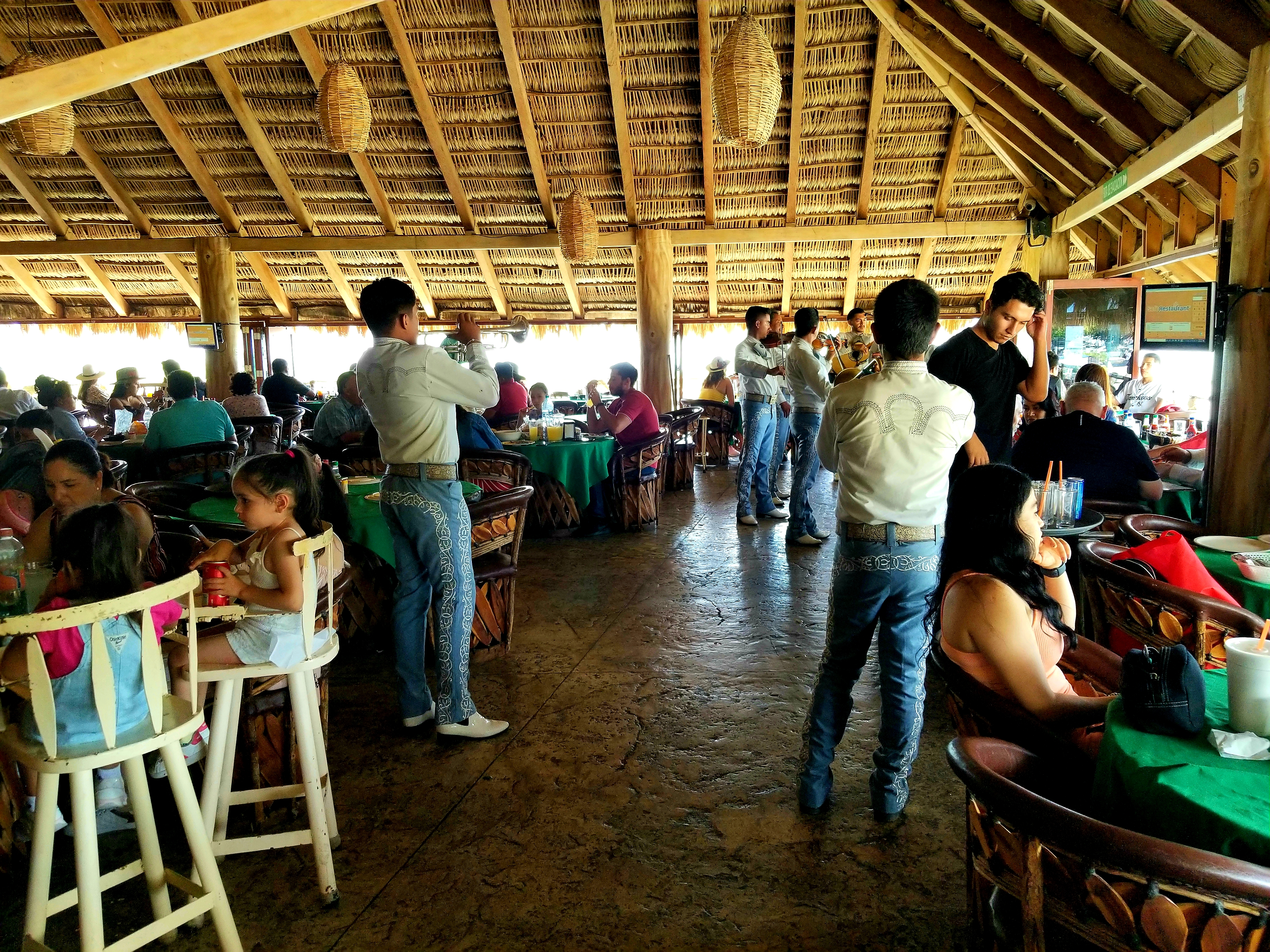 La palapa del guayabo image 10