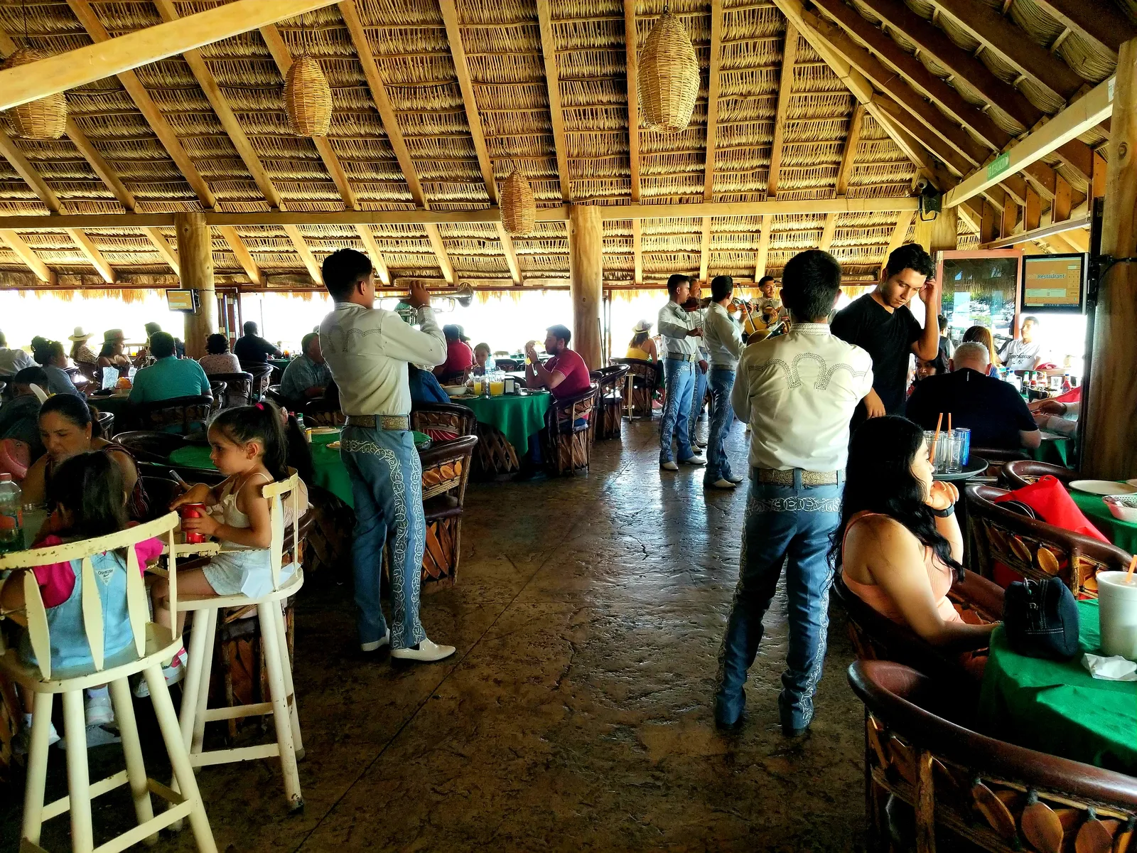 La palapa del guayabo image 10
