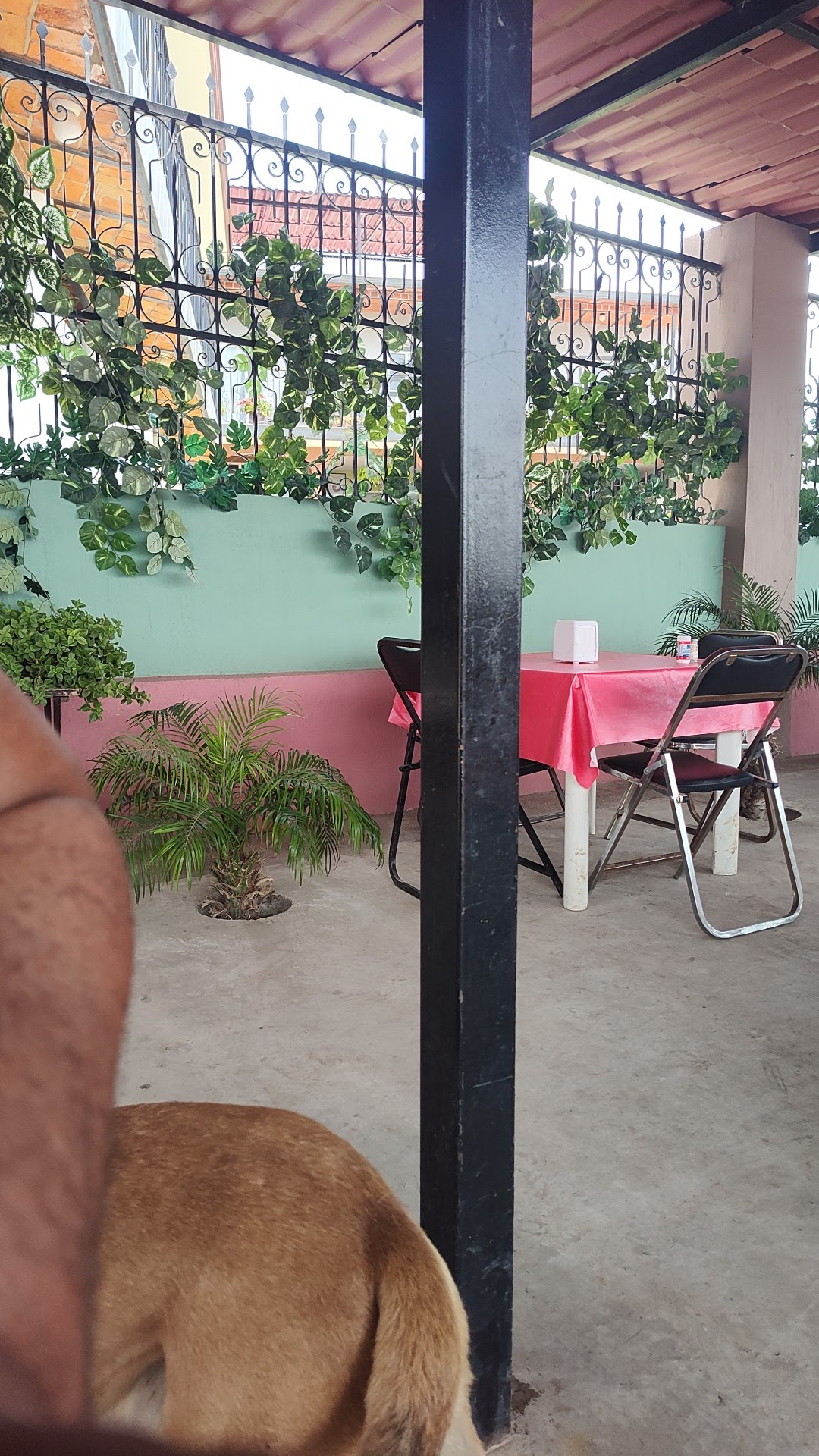 Backyard Burger and Ribs image 2