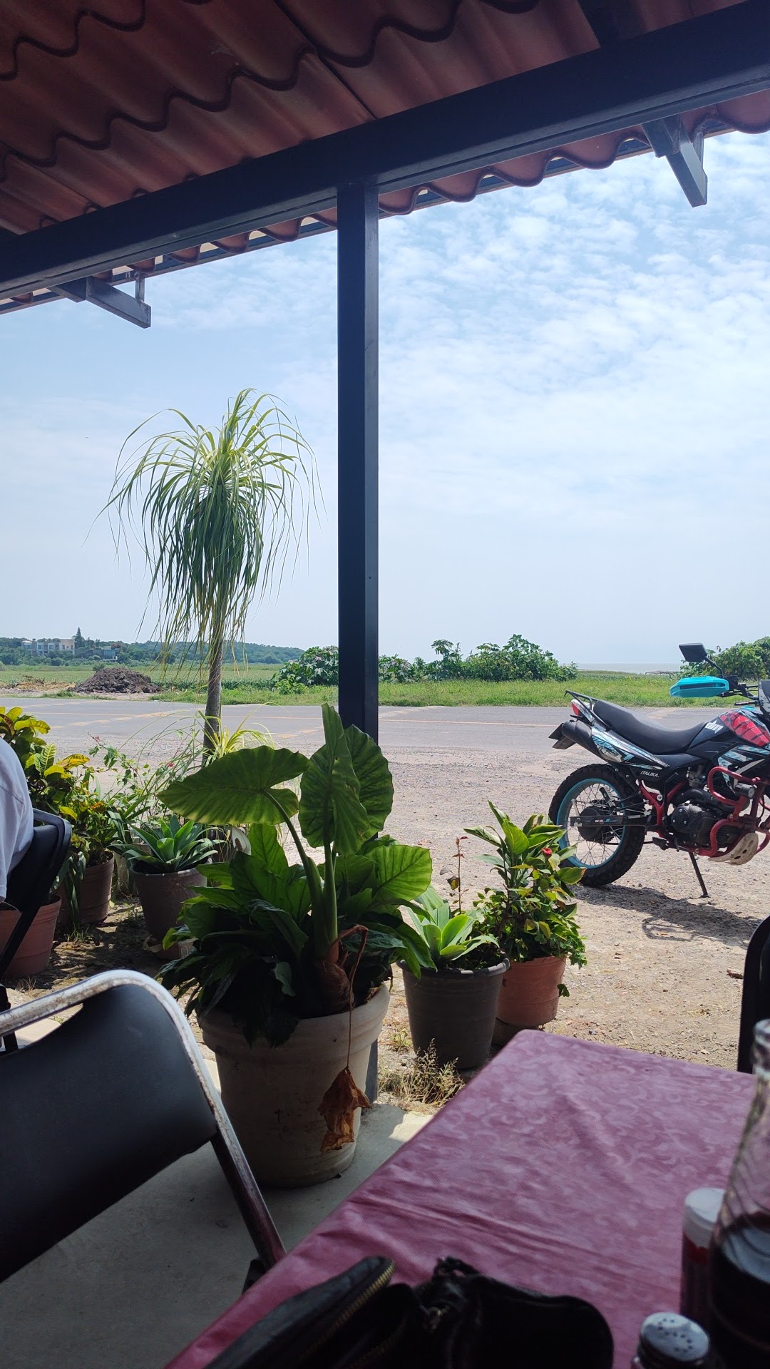 Backyard Burger and Ribs image 3