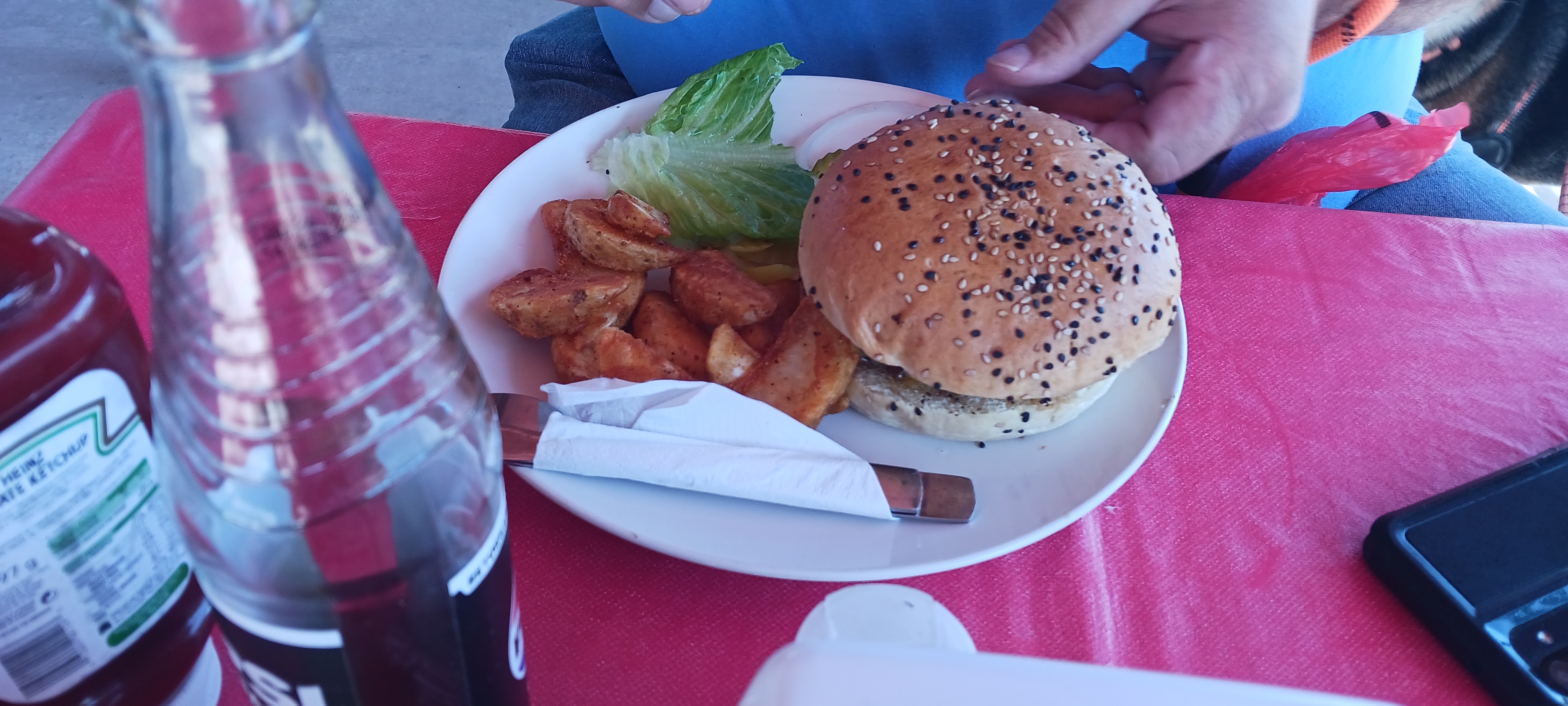 Backyard Burger and Ribs image 4