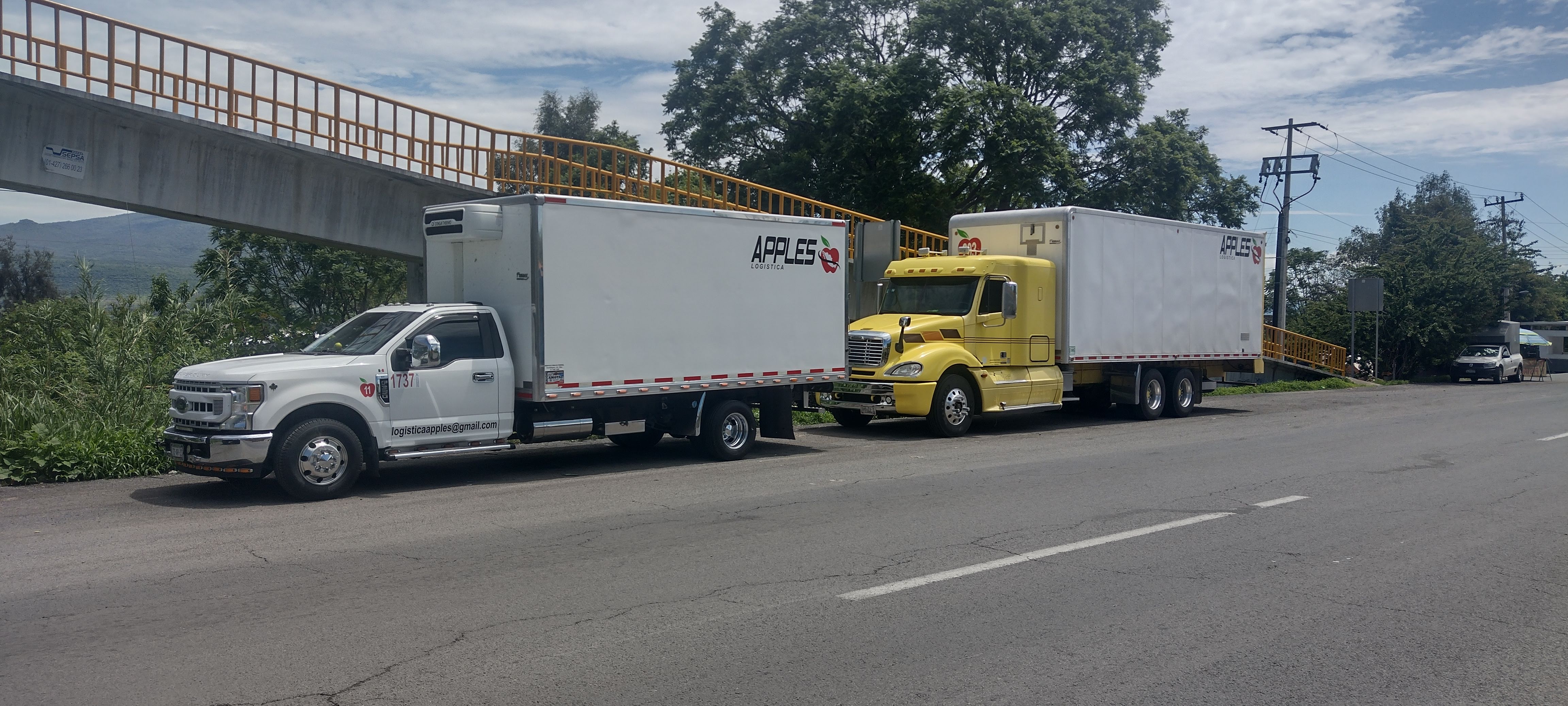 Tortas Y Tacos Miranda image 3