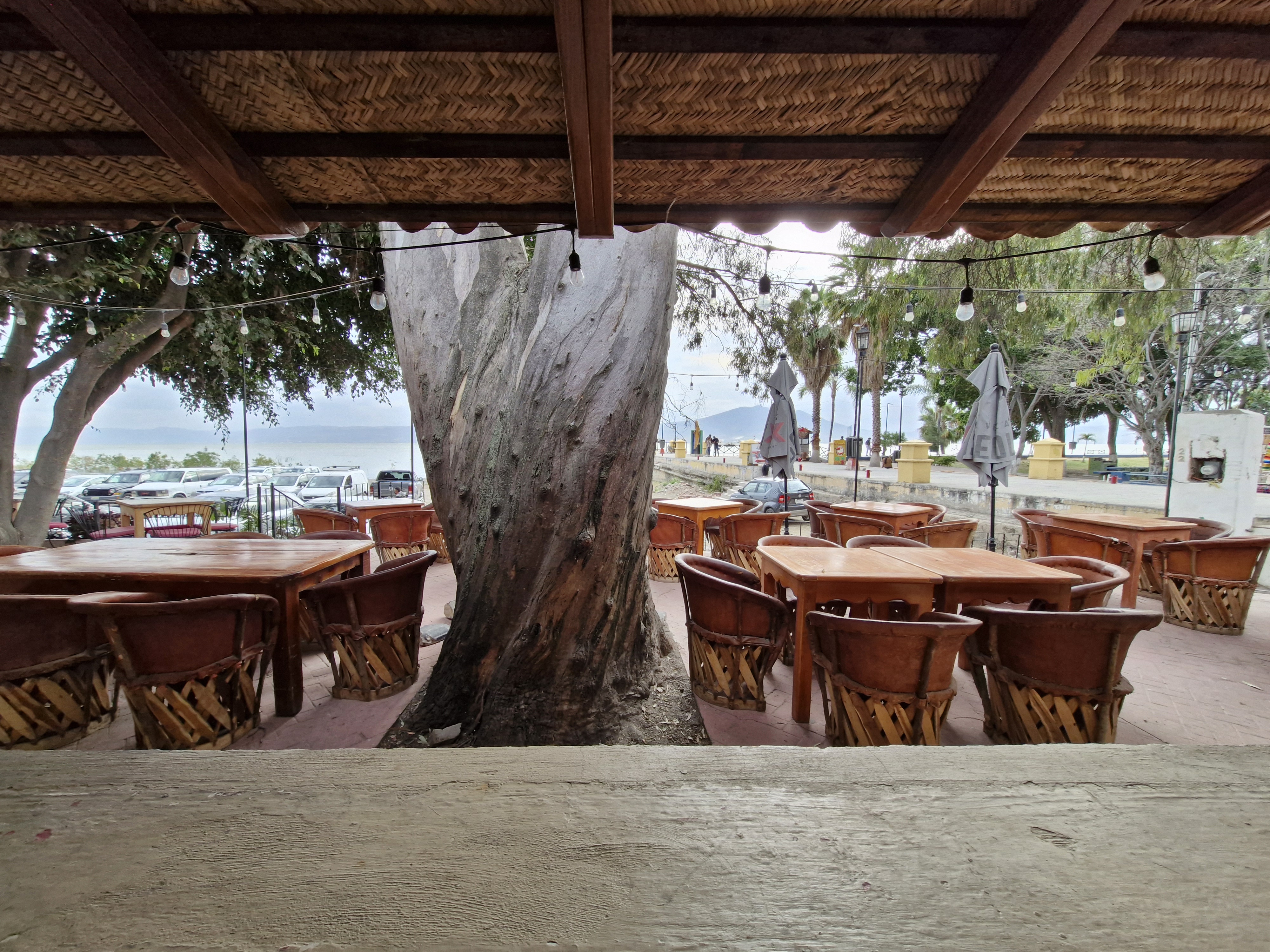 Bonanza Restaurante & Bar image 2