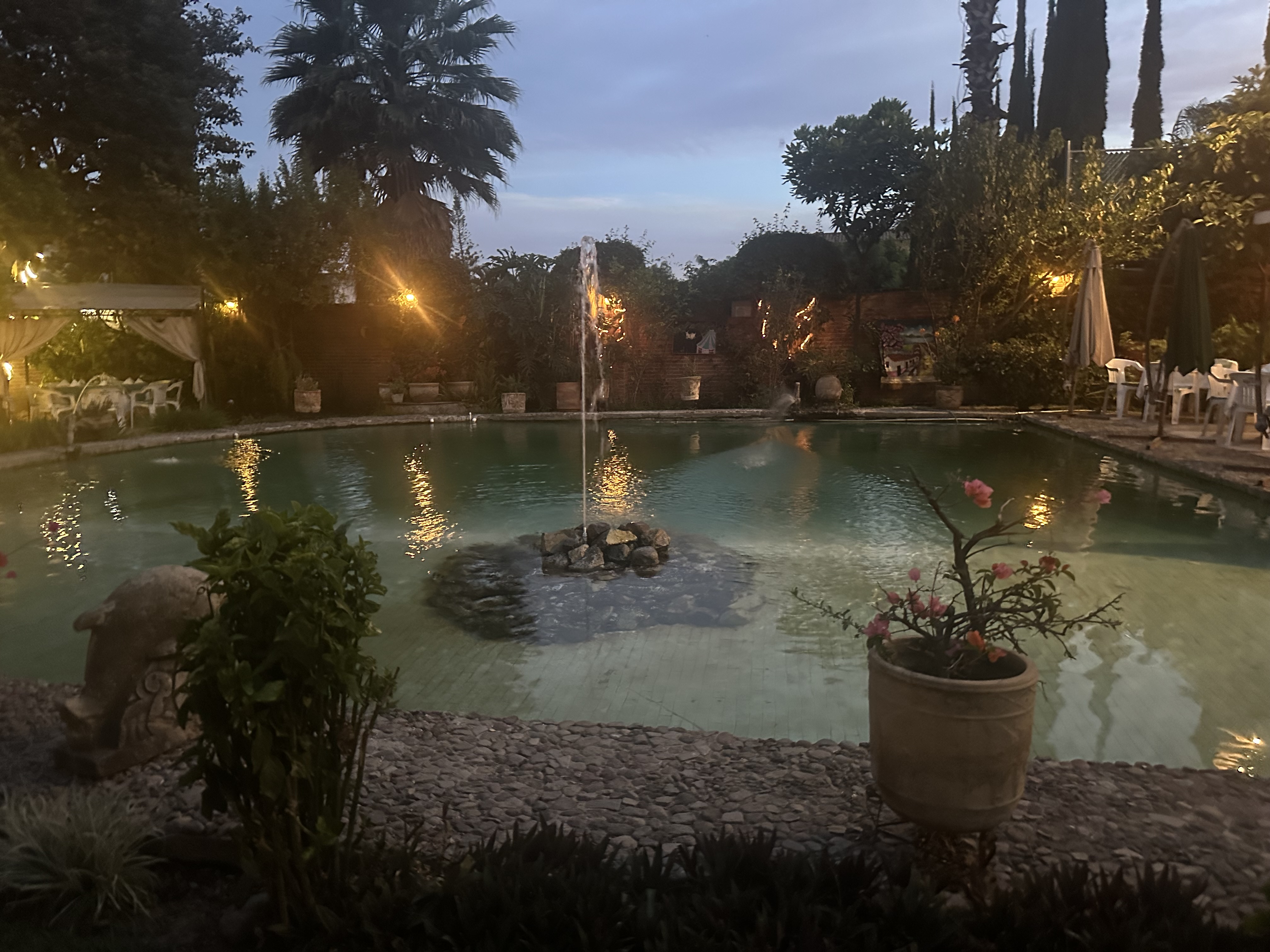 Yves’ Restaurant Bar image 3