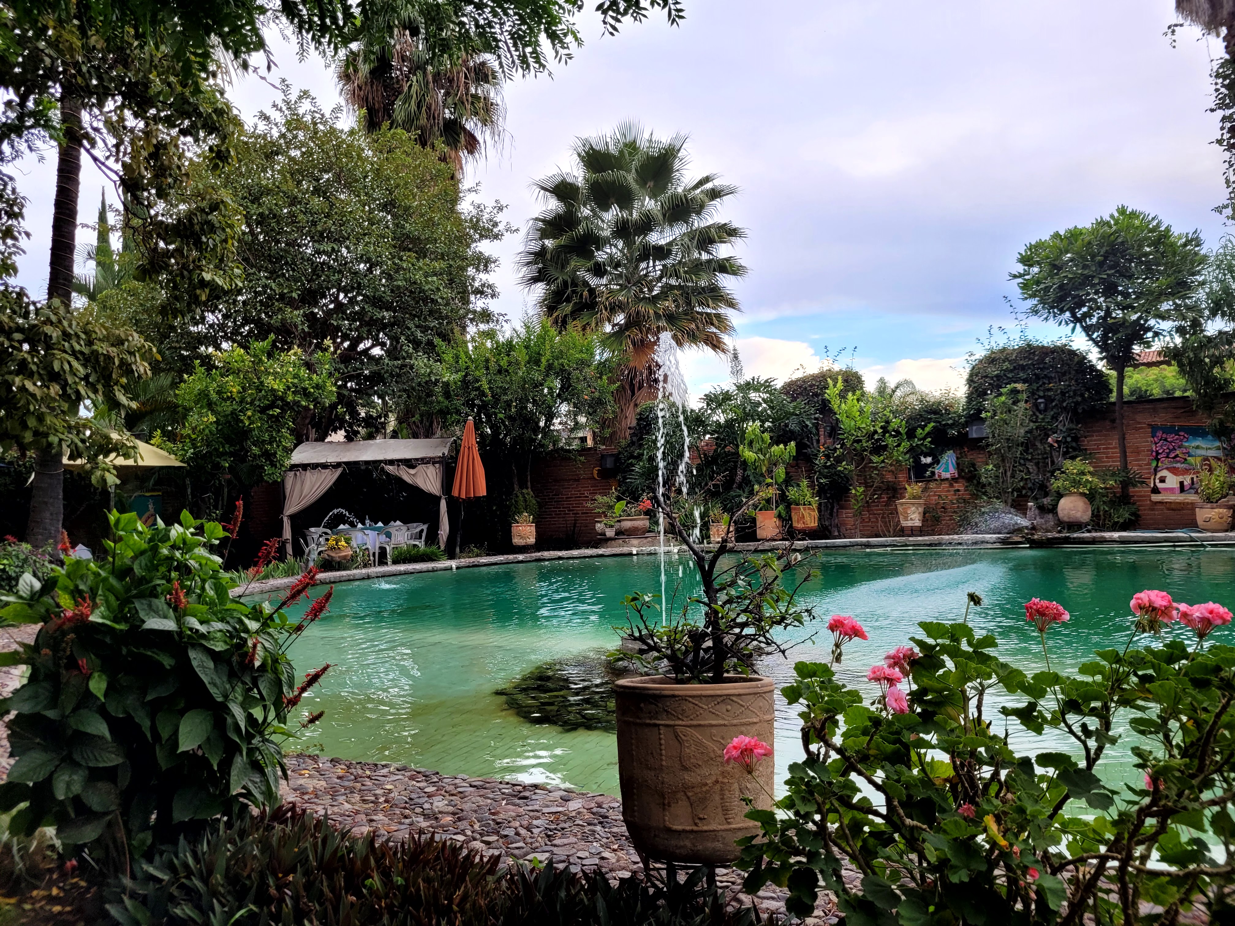 Yves’ Restaurant Bar image 4