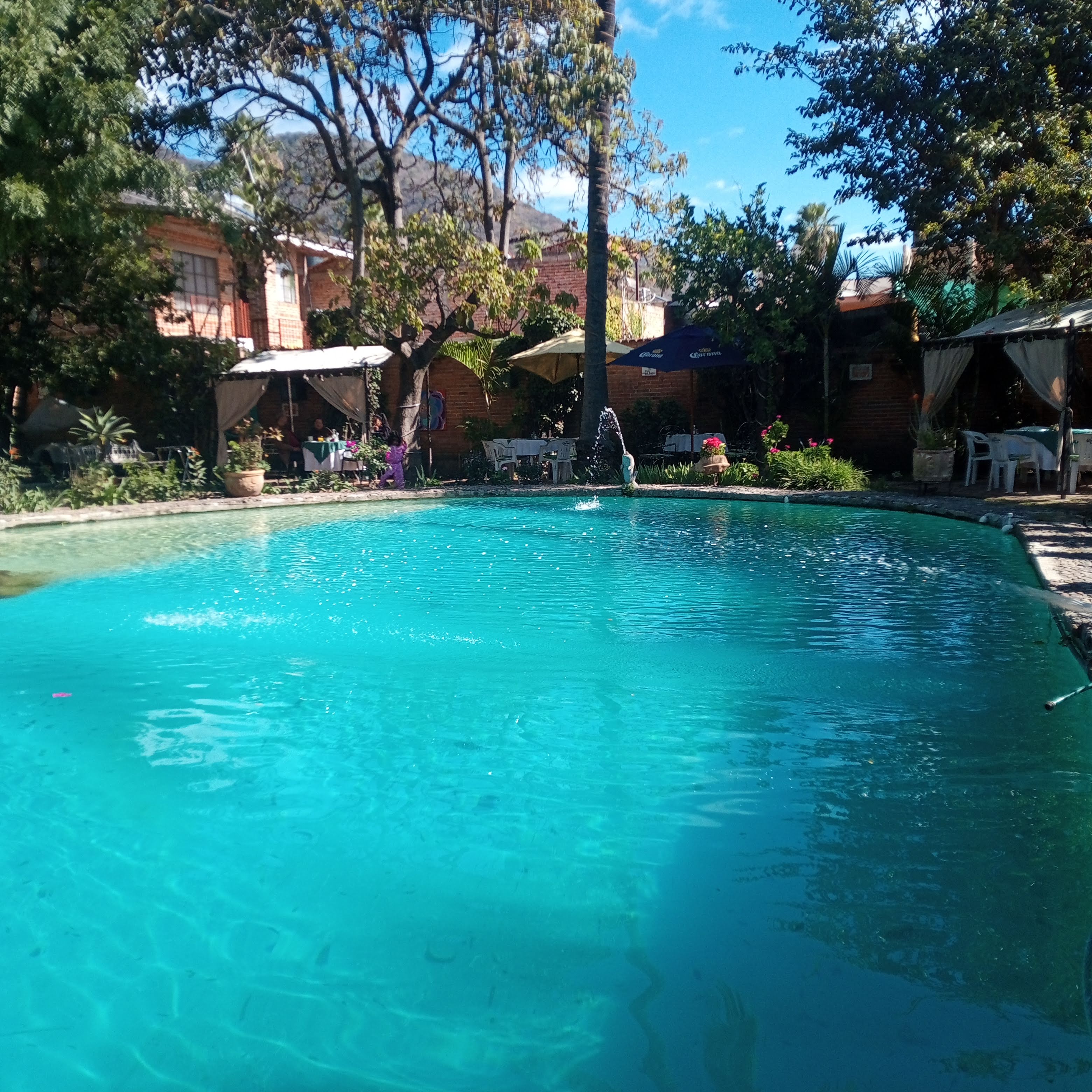 Yves’ Restaurant Bar image 6