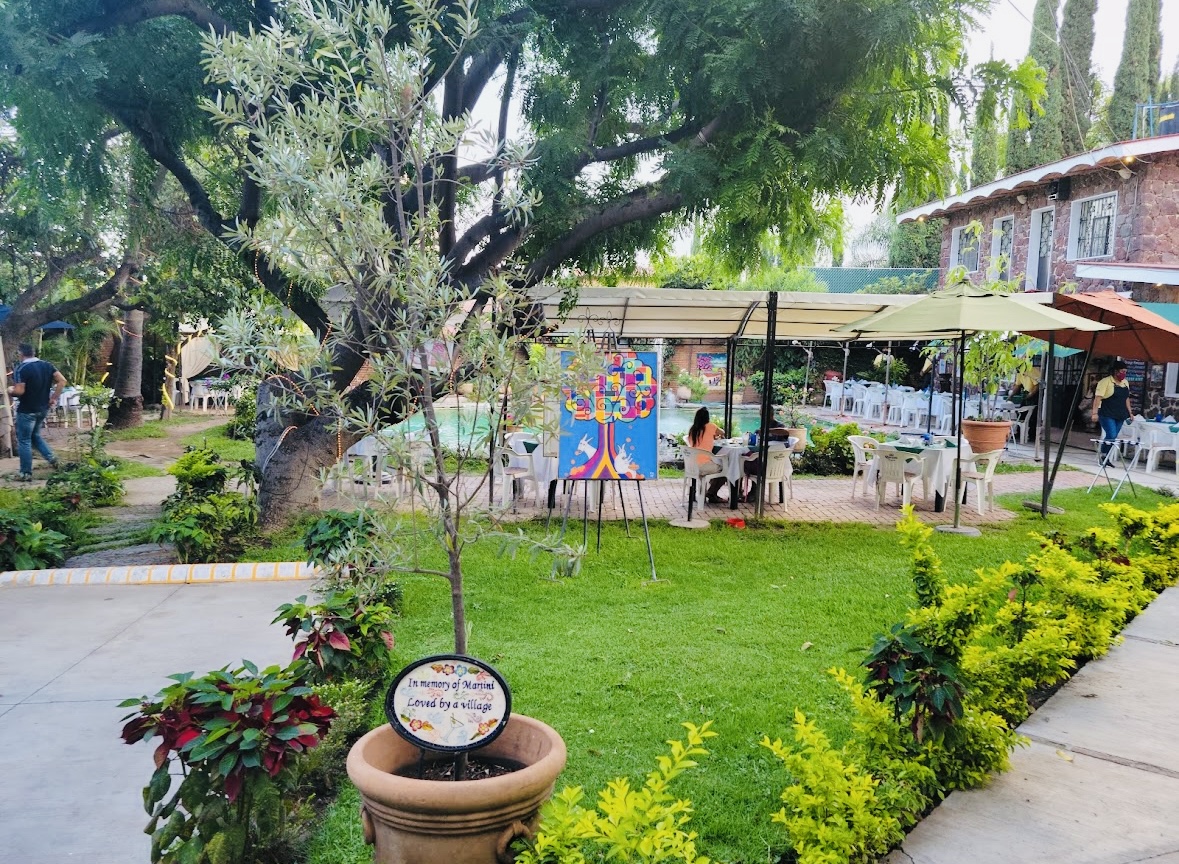 Yves’ Restaurant Bar image 10