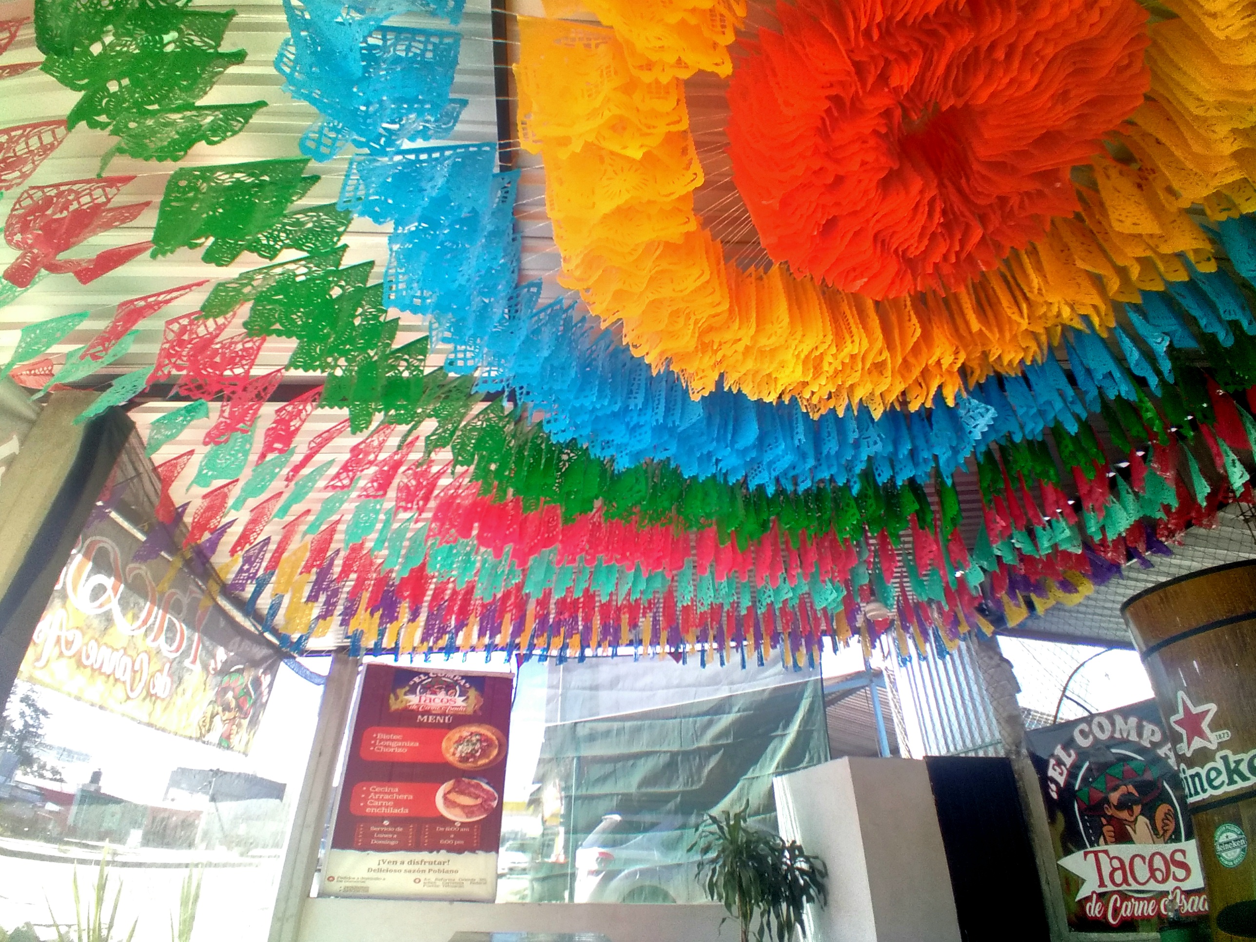 Tacos de carne asada "El Compa" image 1