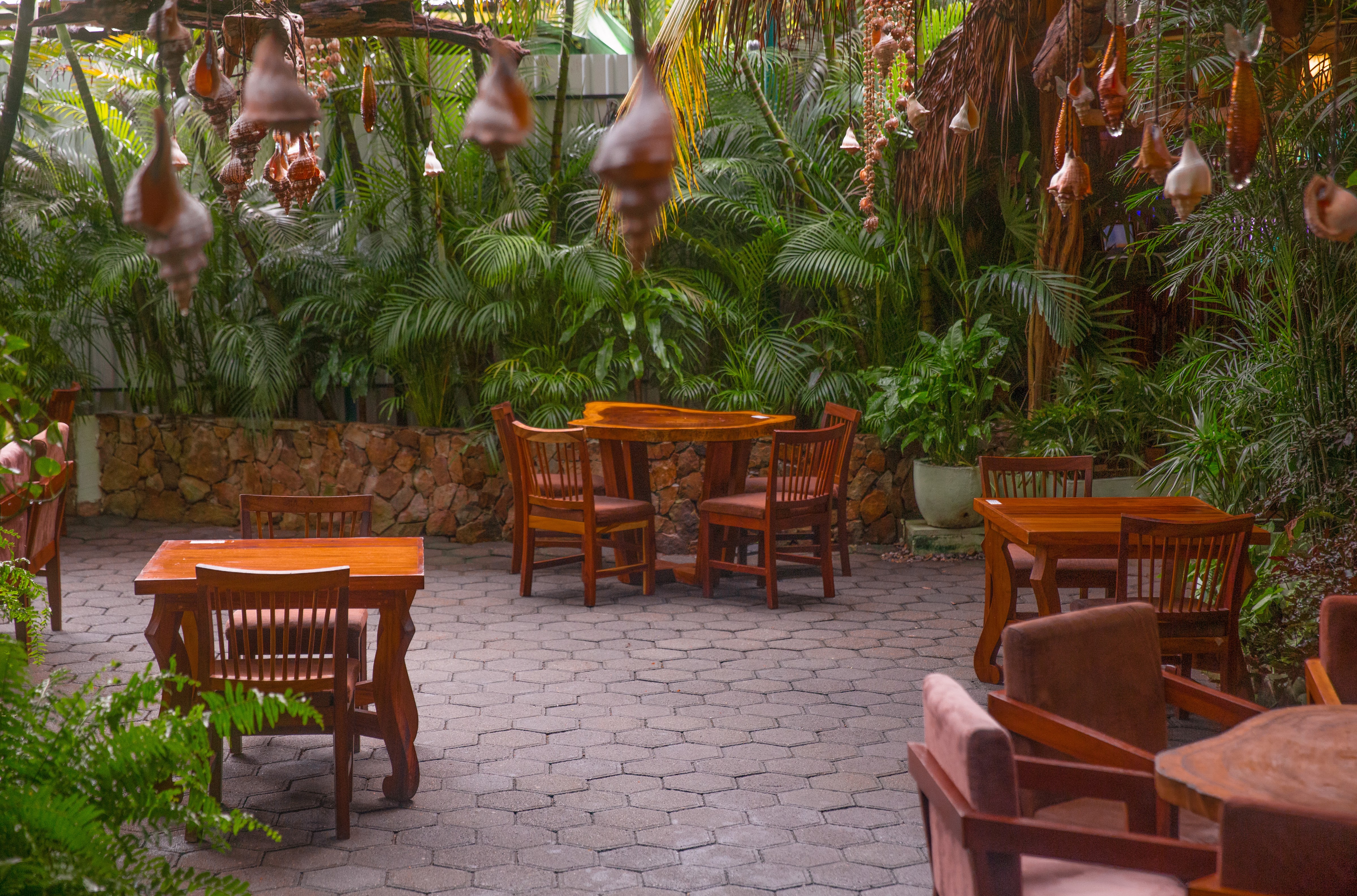 Paititi del Mar image 1