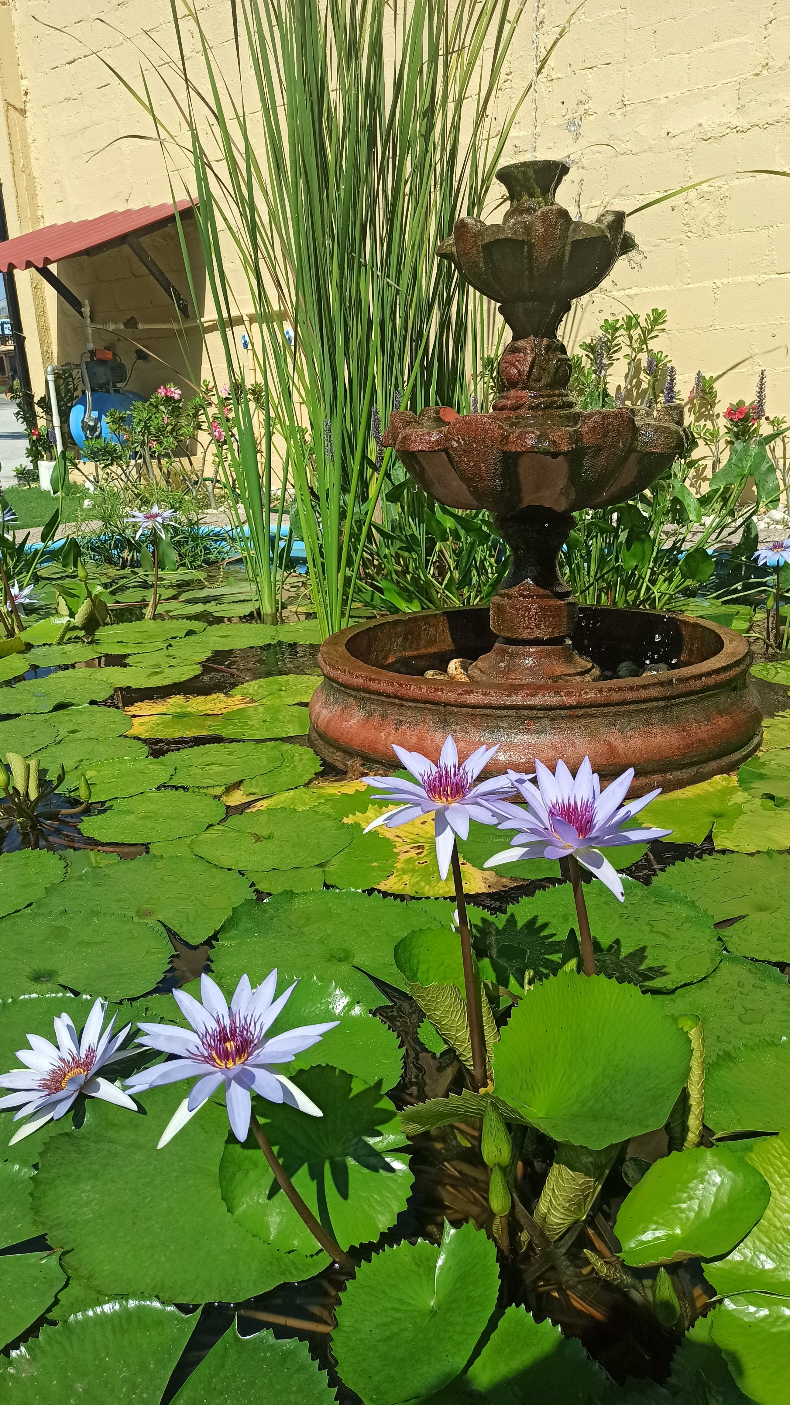 Ramona Restaurante Acapulco image 4