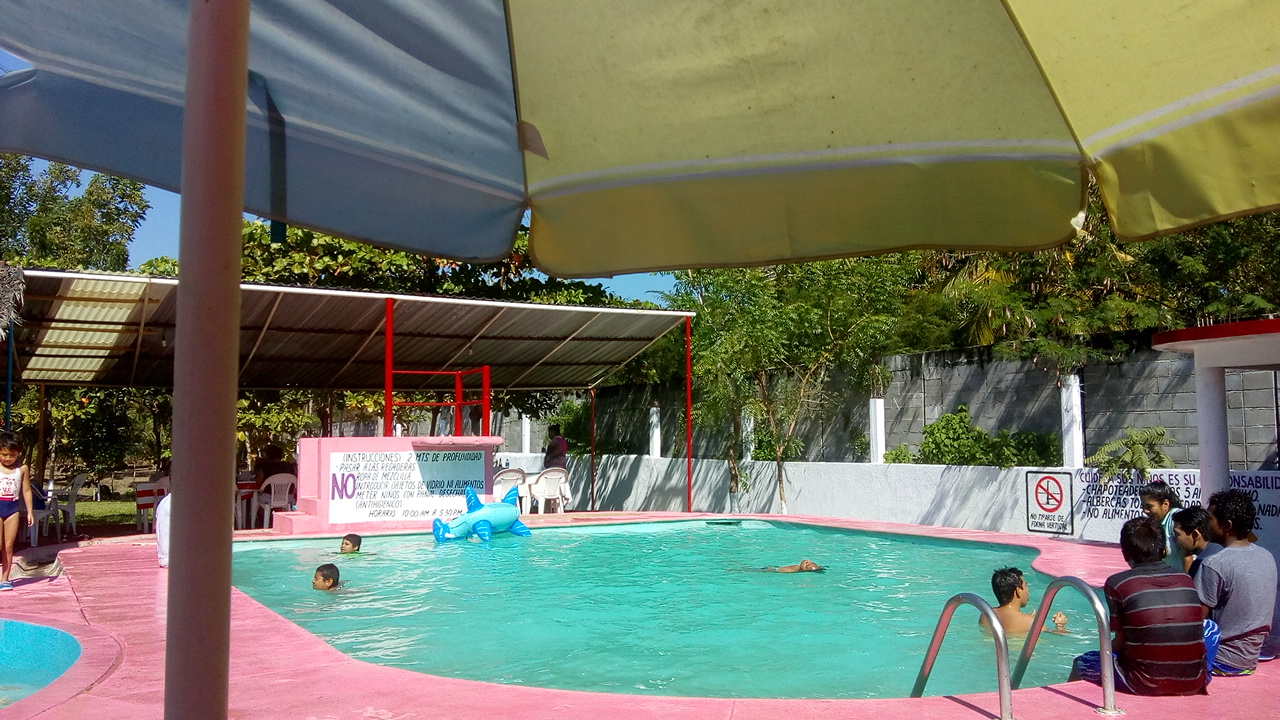 Restaurante Las palmeras image 2