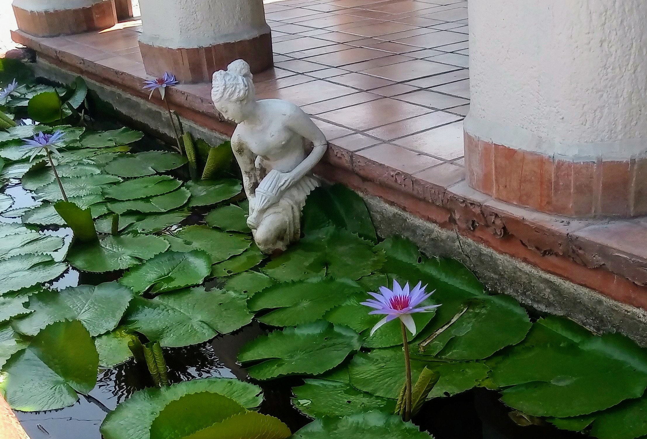 100% Natural image 3