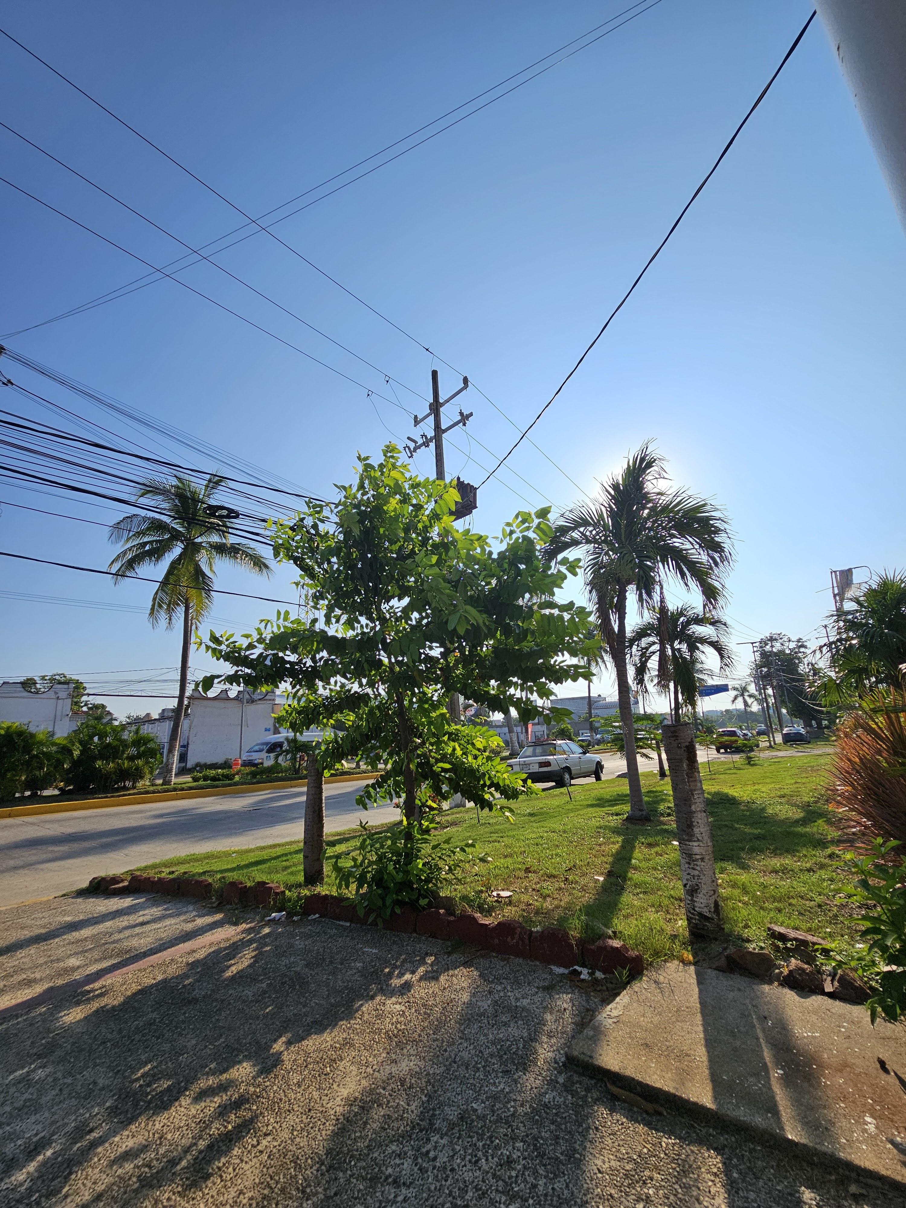 Restaurante 7 Leguas Diamante image 7
