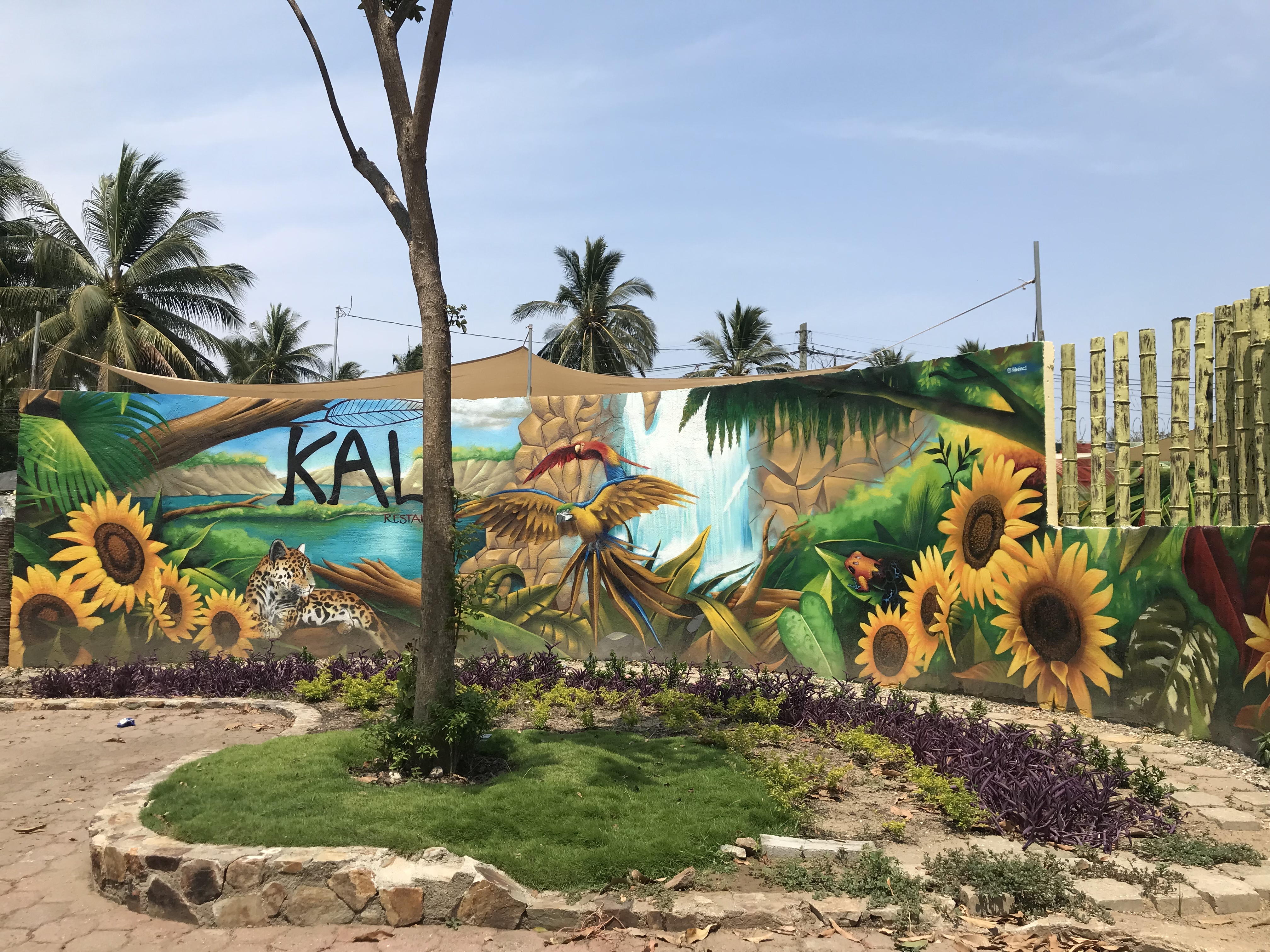 Restaurante KALI image 7