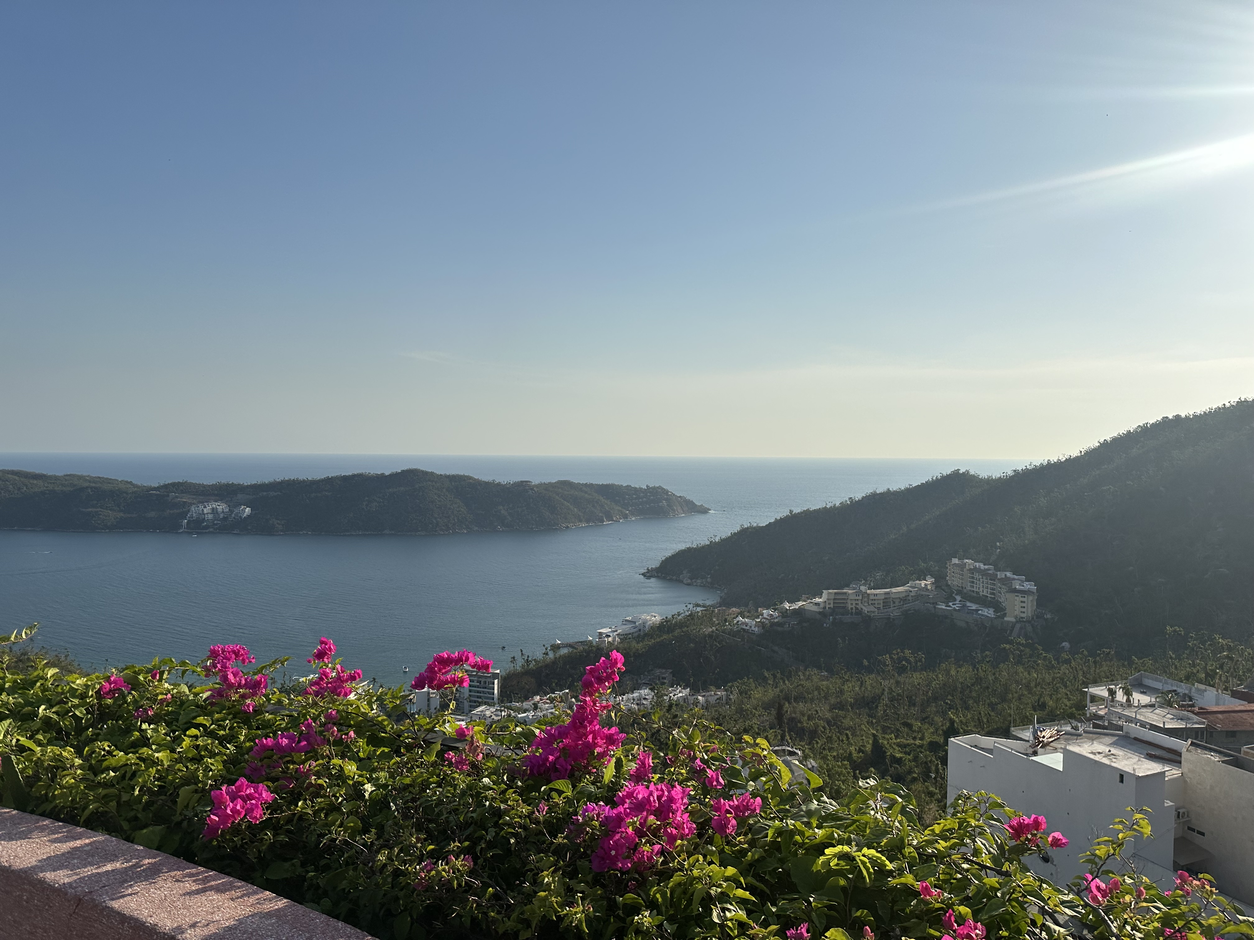 Zibu Acapulco image 6