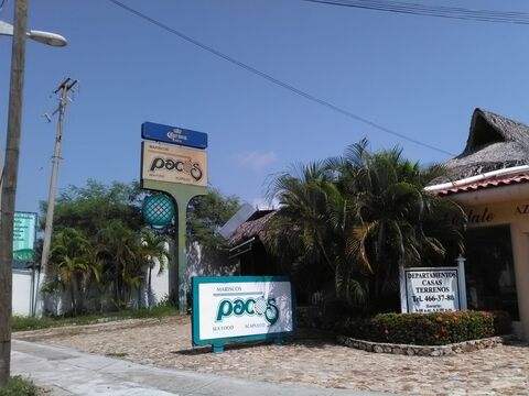 Mariscos Paco's image 1