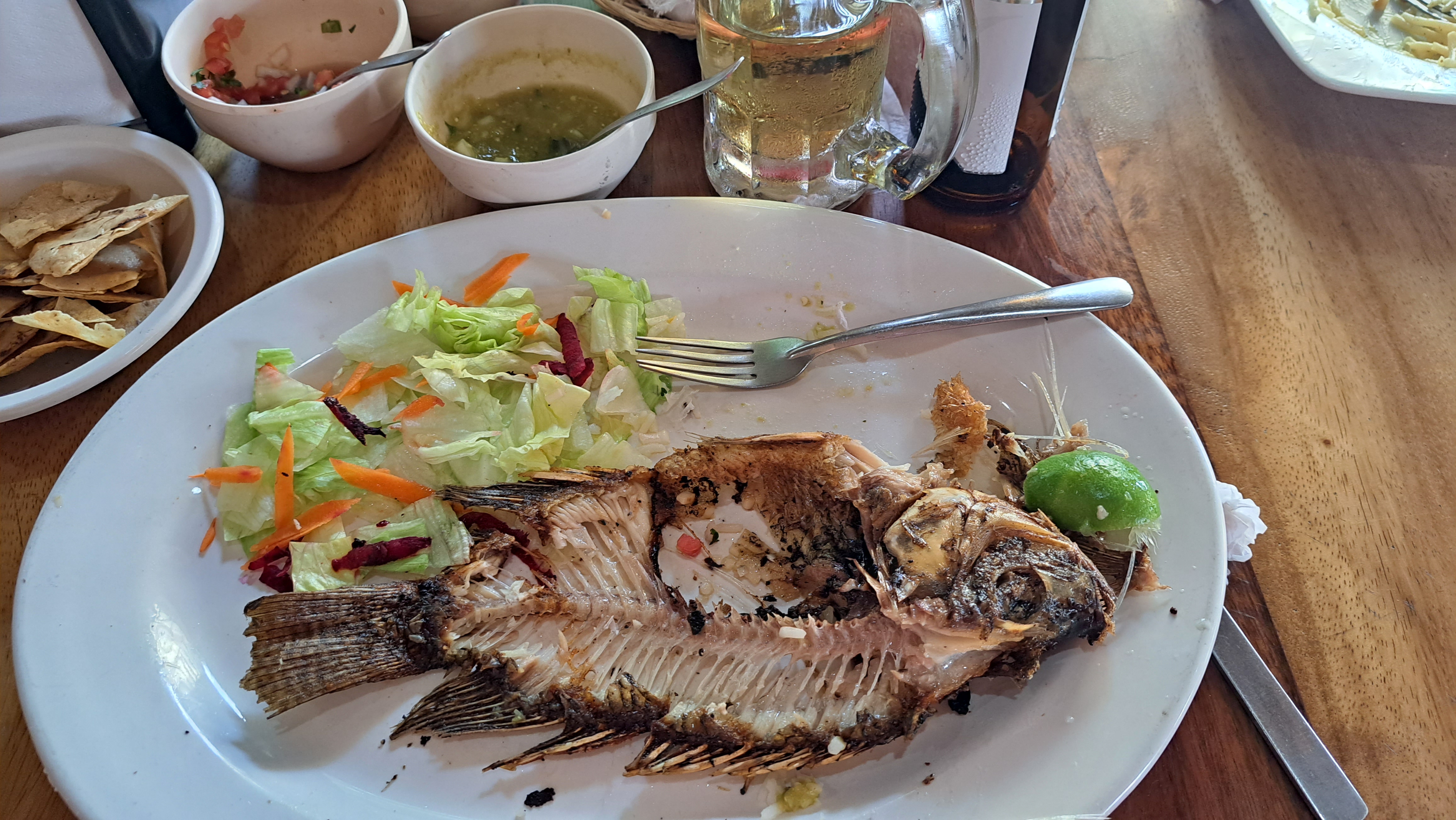 La Palapa Restaurant image 5