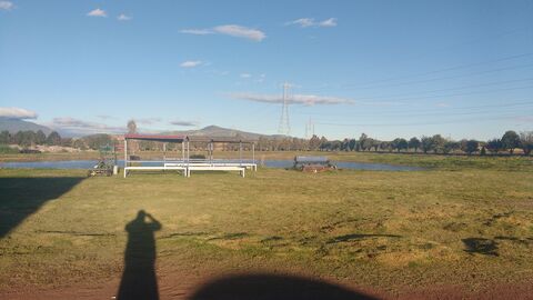 LOS LAGOS image 4
