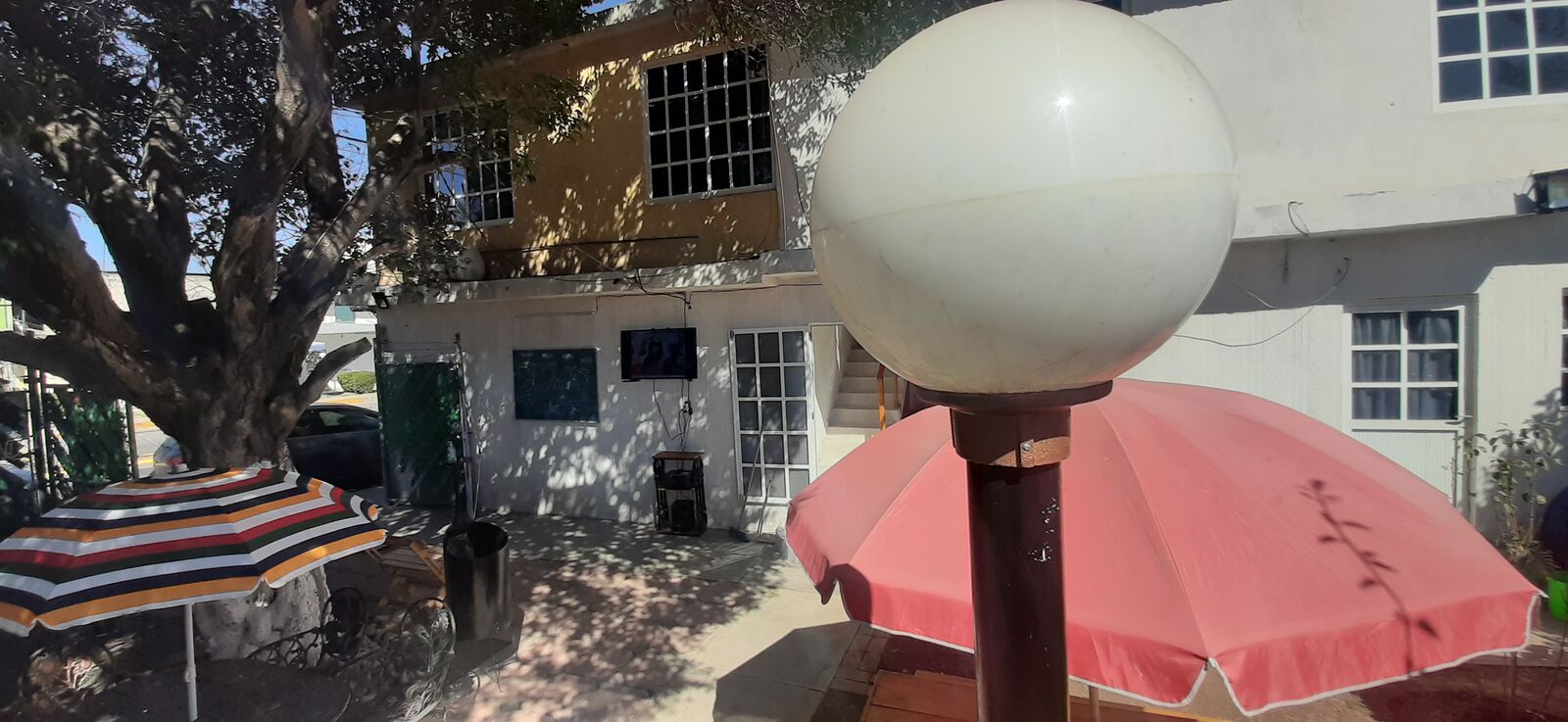 El jardín image 10