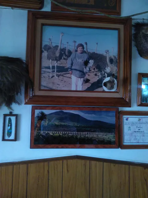 Restaurant El Capi image 7