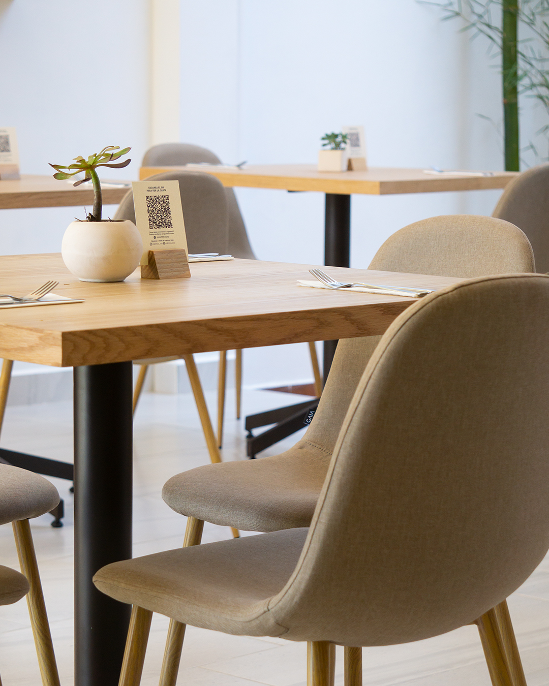 Endémica Restaurante image 1