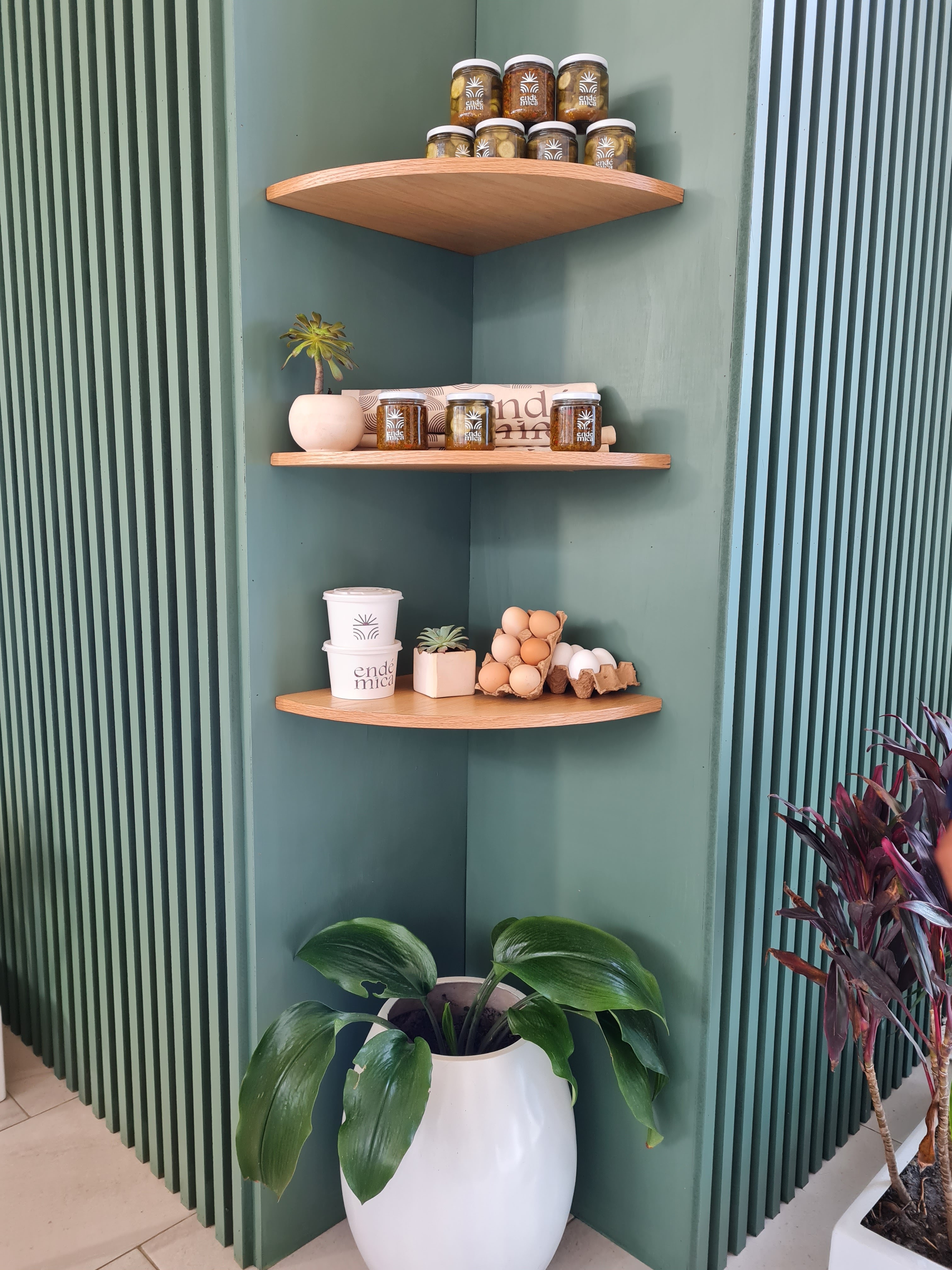 Endémica Restaurante image 6